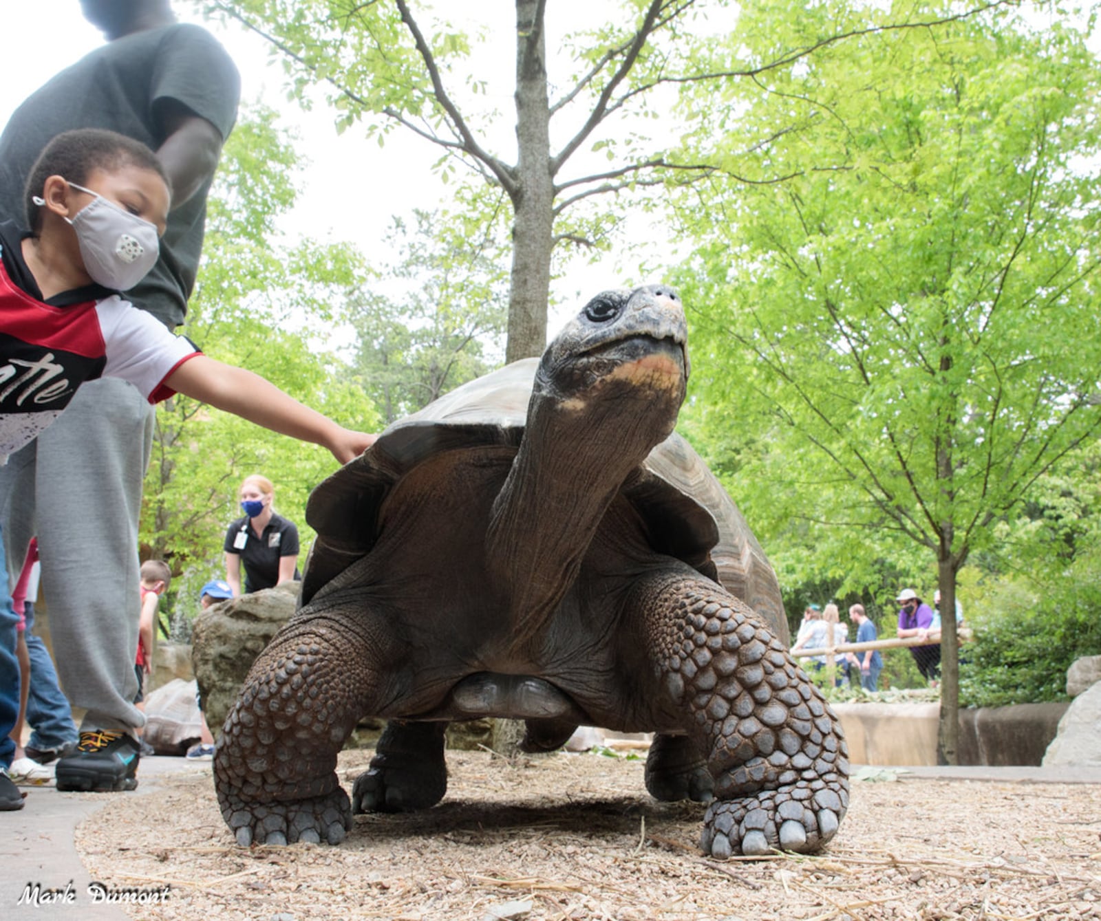 Get vaccinated for COVID-19 at the Cincinnati Zoo & Botanical Center   June 15 and admission is free. CINCINNATI ZOO & BOTANICAL CENTER