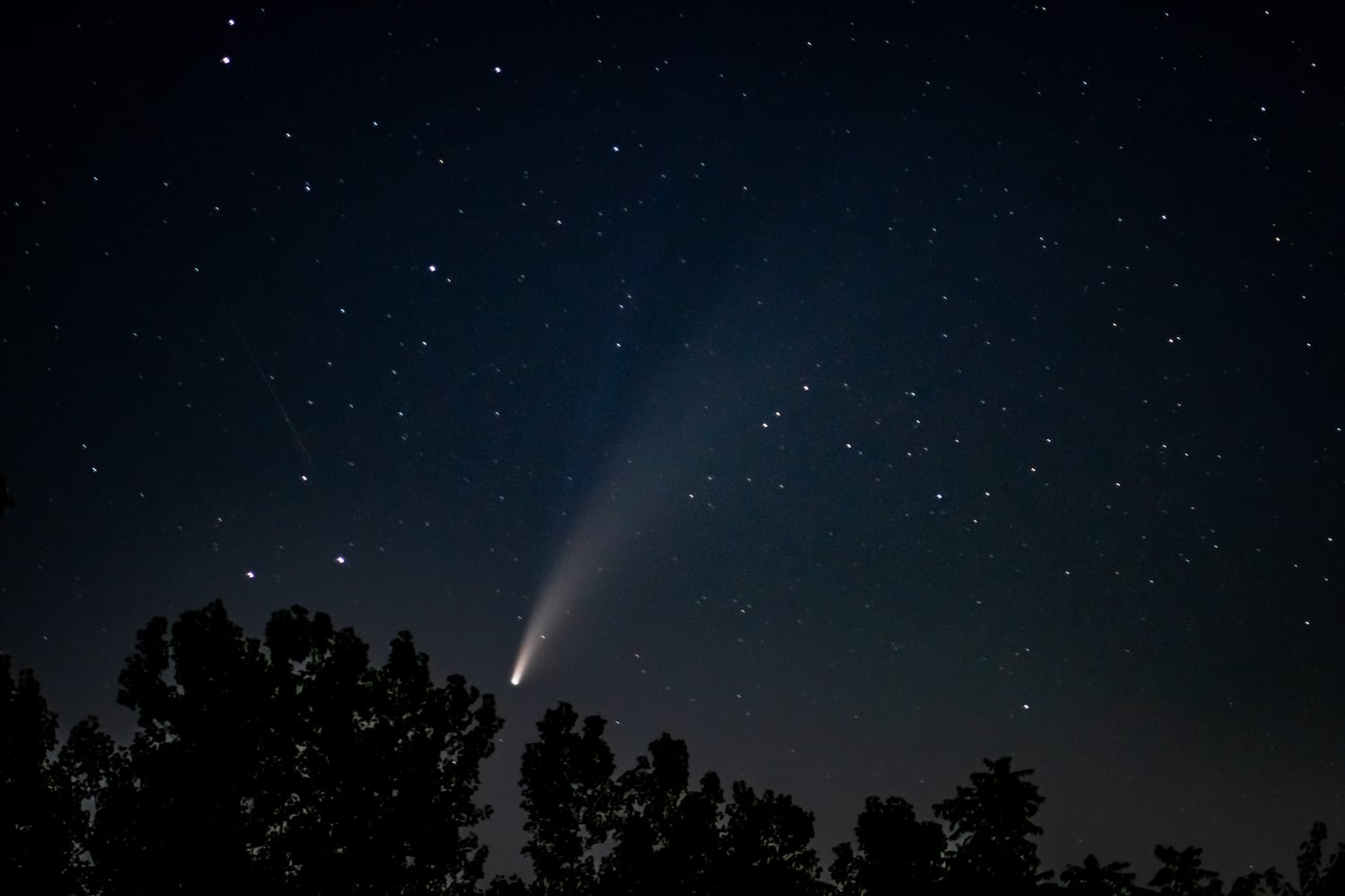 NEOWISE comet visible in the night sky