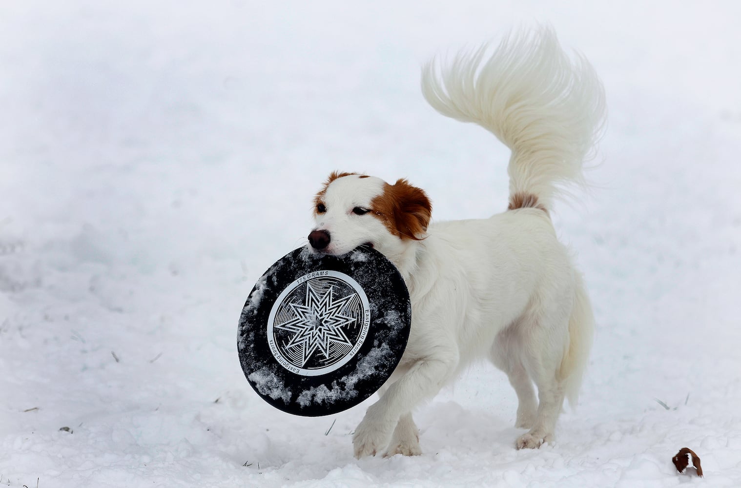 SLEDDING FUN