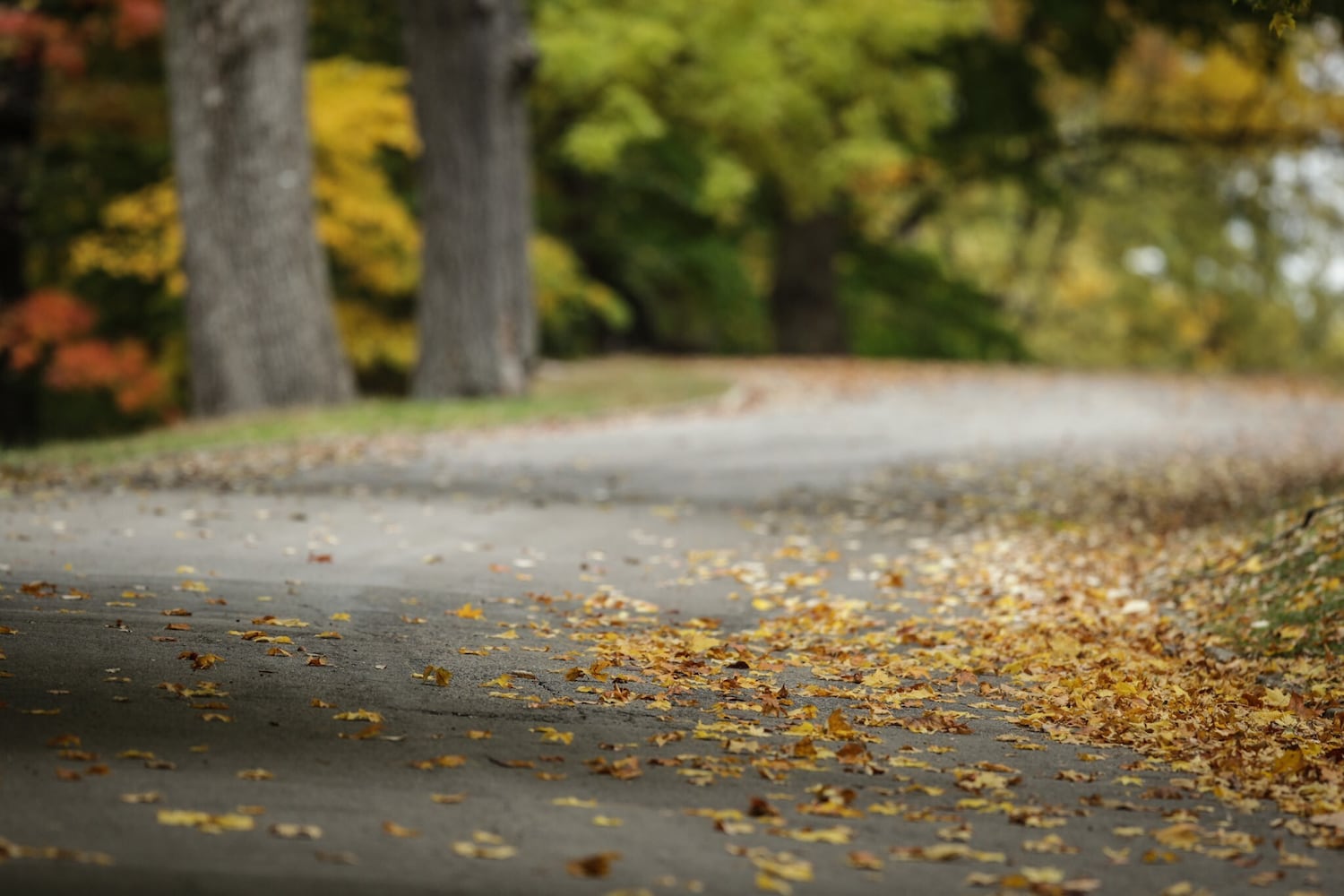 Fall colors paint the Dayton area