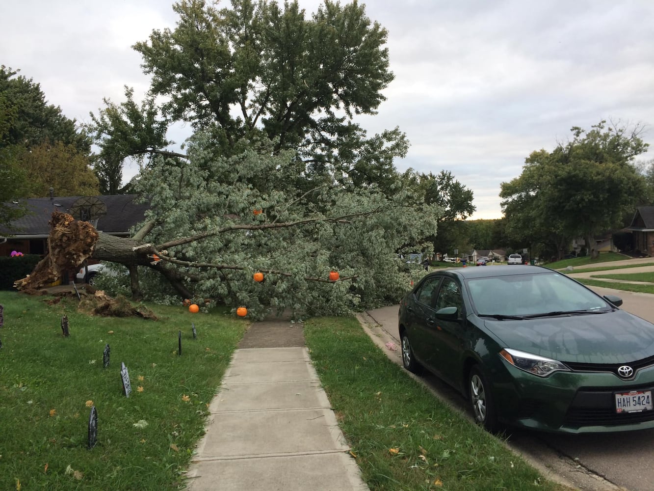 PHOTOS: Strong winds cause damage around the Miami Valley