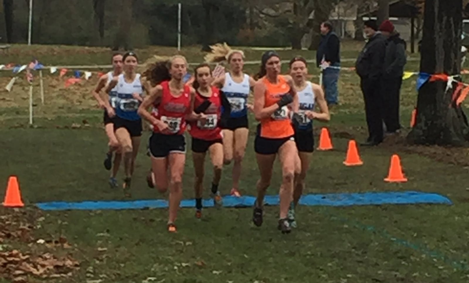 The Mid-East Cross Country Championships annually draws top senior girls and boys runners. This year teams from Michigan, Indiana, Illinois and Ohio competed. CONTRIBUTED PHOTO