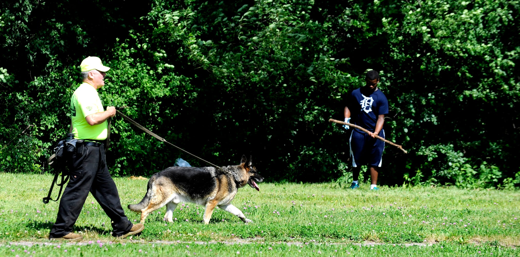 News hounds (6/19/2014)