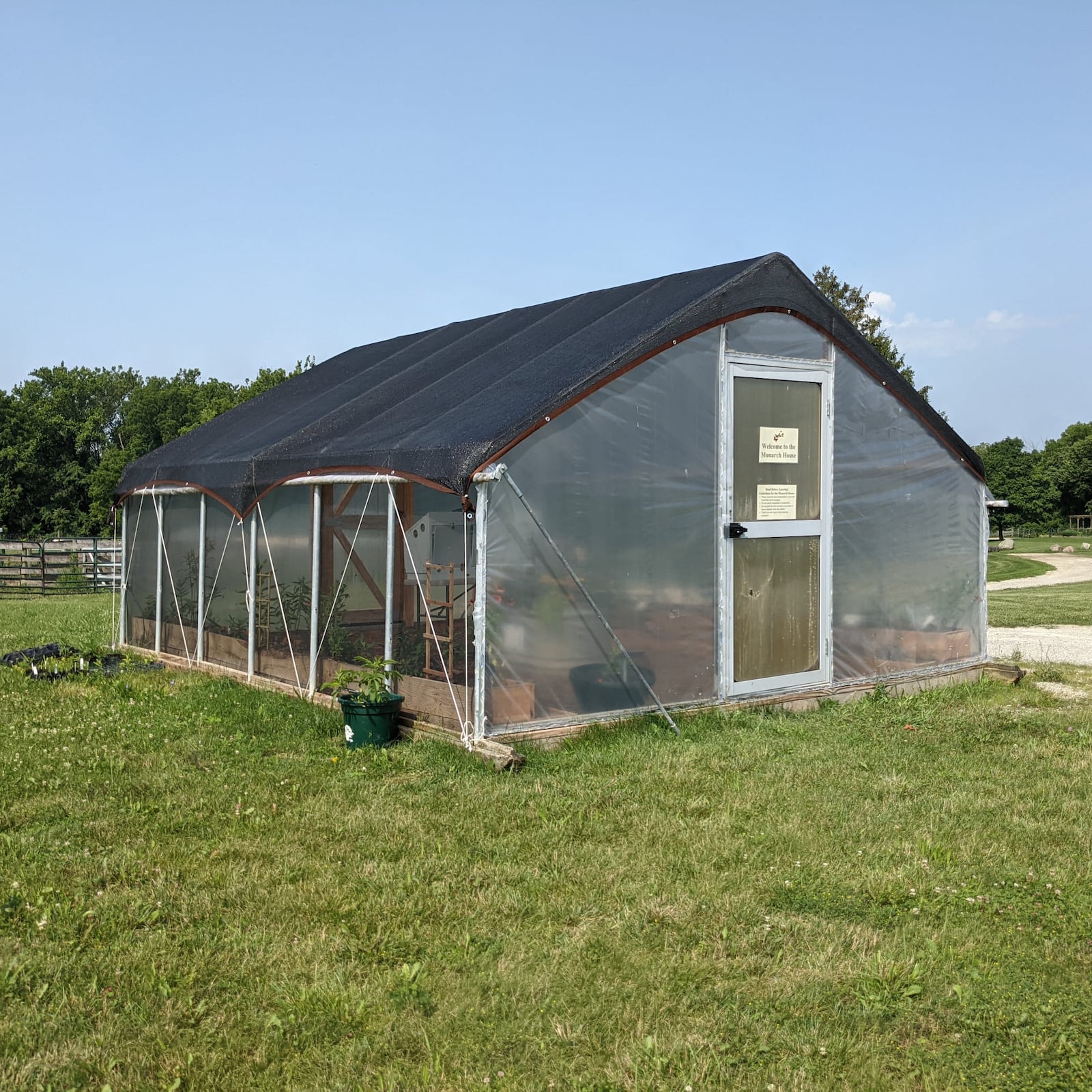 A crop of butterflies will hatch in Aullwood Audubon’s new Monarch House. It is filled with nectar flowers and a dozen types of milkweed plants – native and exotic species – and is home to 35 caterpillars.  CONTRIBUTED PHOTO / AULLWOOD AUDUBON