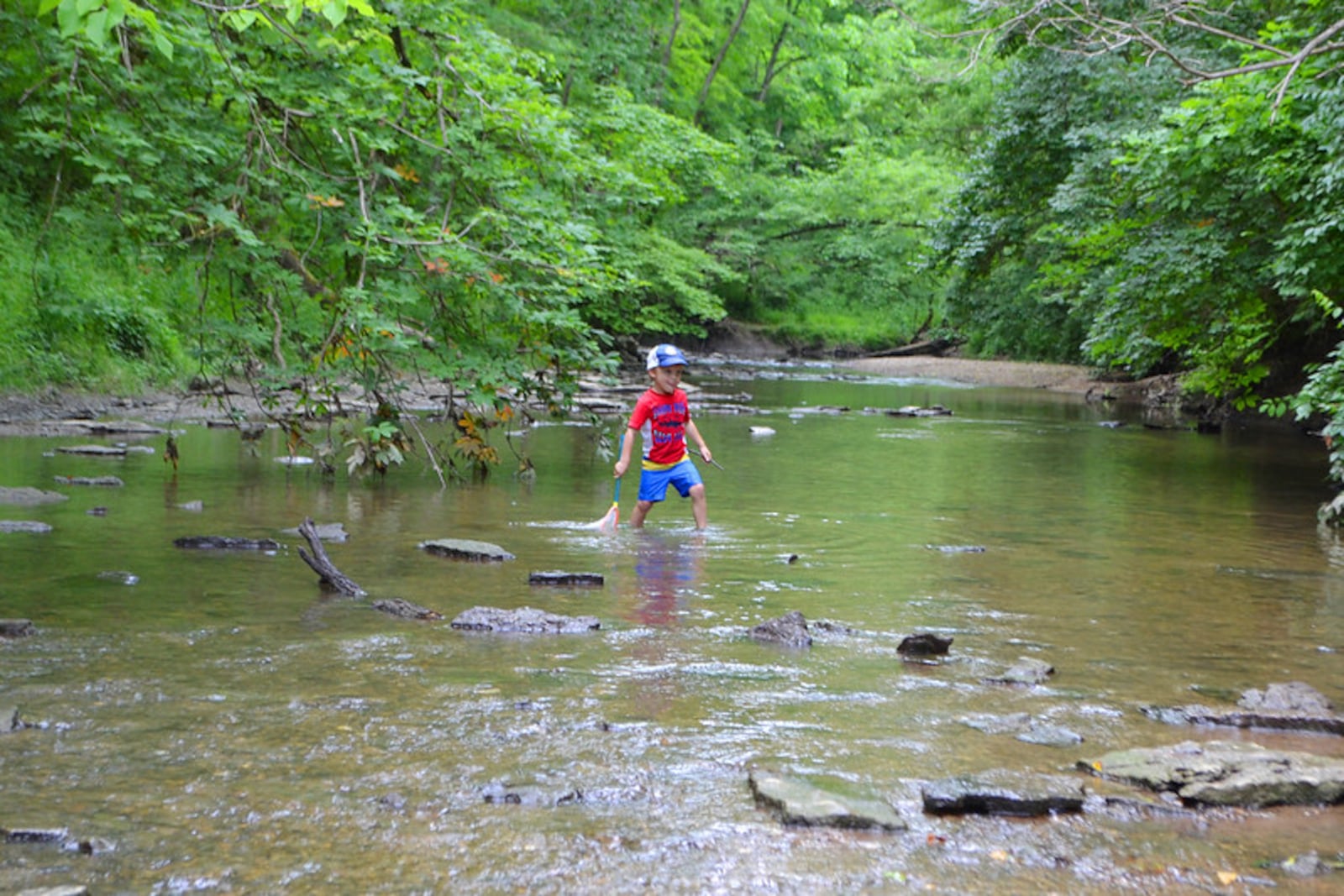 Five Rivers MetroParks has developed a series of Virtual Field Trip topics and accompanying teacher/parent resources. It’s all available free online at www.metroparks.org by searching virtual field trips. CONTRIBUTED