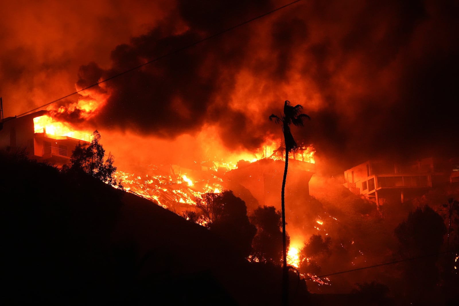 The Palisades Fire burns homes on a hilltop in the Pacific Palisades neighborhood of Los Angeles, Wednesday, Jan. 8, 2025. (AP Photo/Mark J. Terrill)