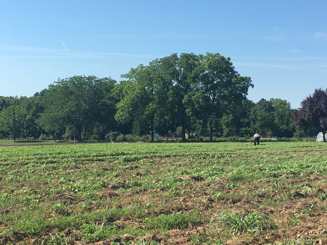 Hidden Valley Orchards