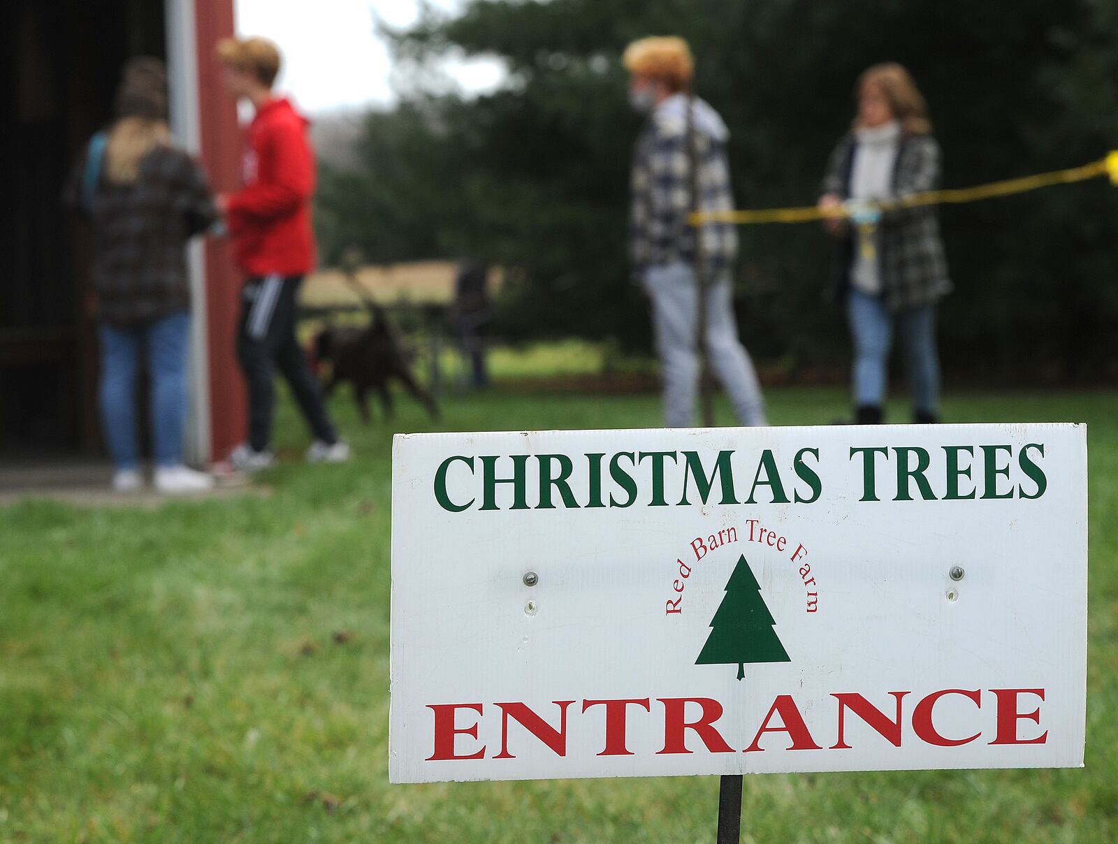 Red Barn Tree Farm on Soldier's Home Miamisburg Road in Miamisburg is one place customers can cut their own trees. MARSHALL GORBY/STAFF