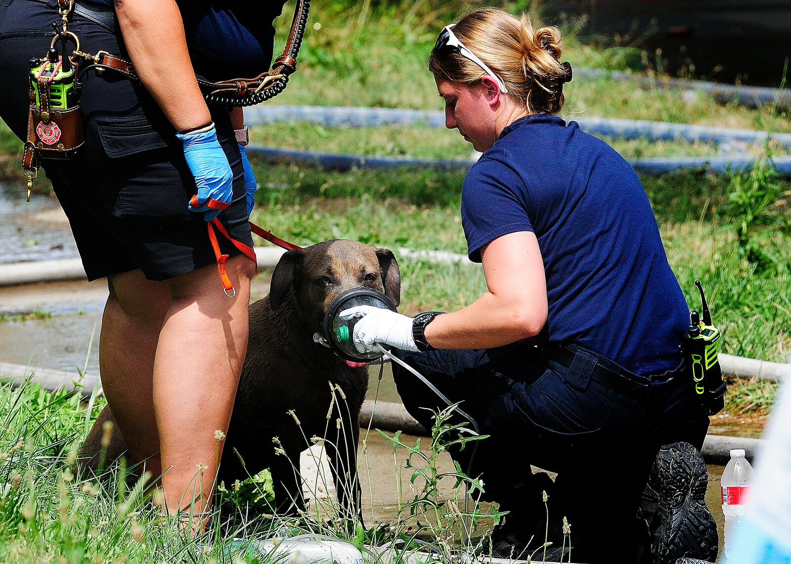 Three houses were destroyed by fire Tuesday, July 2, 2024, in the 100 block of Delaware Avenue. No one was home but a dog was rescued from one house and was given water and oxygen. MARSHALL GORBY\STAFF