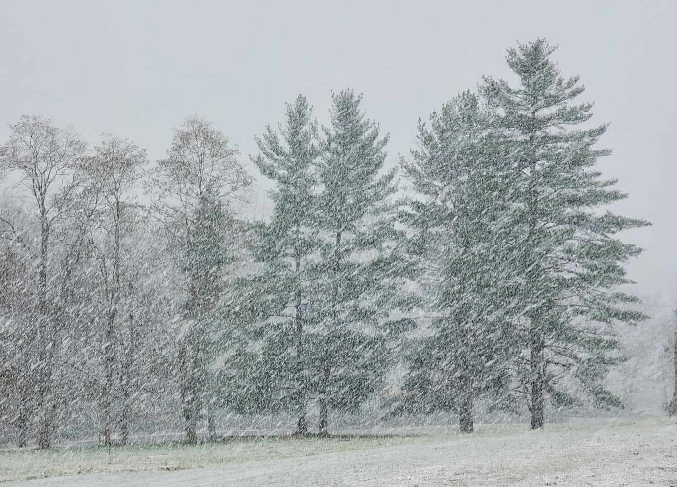 First snowfall of the season