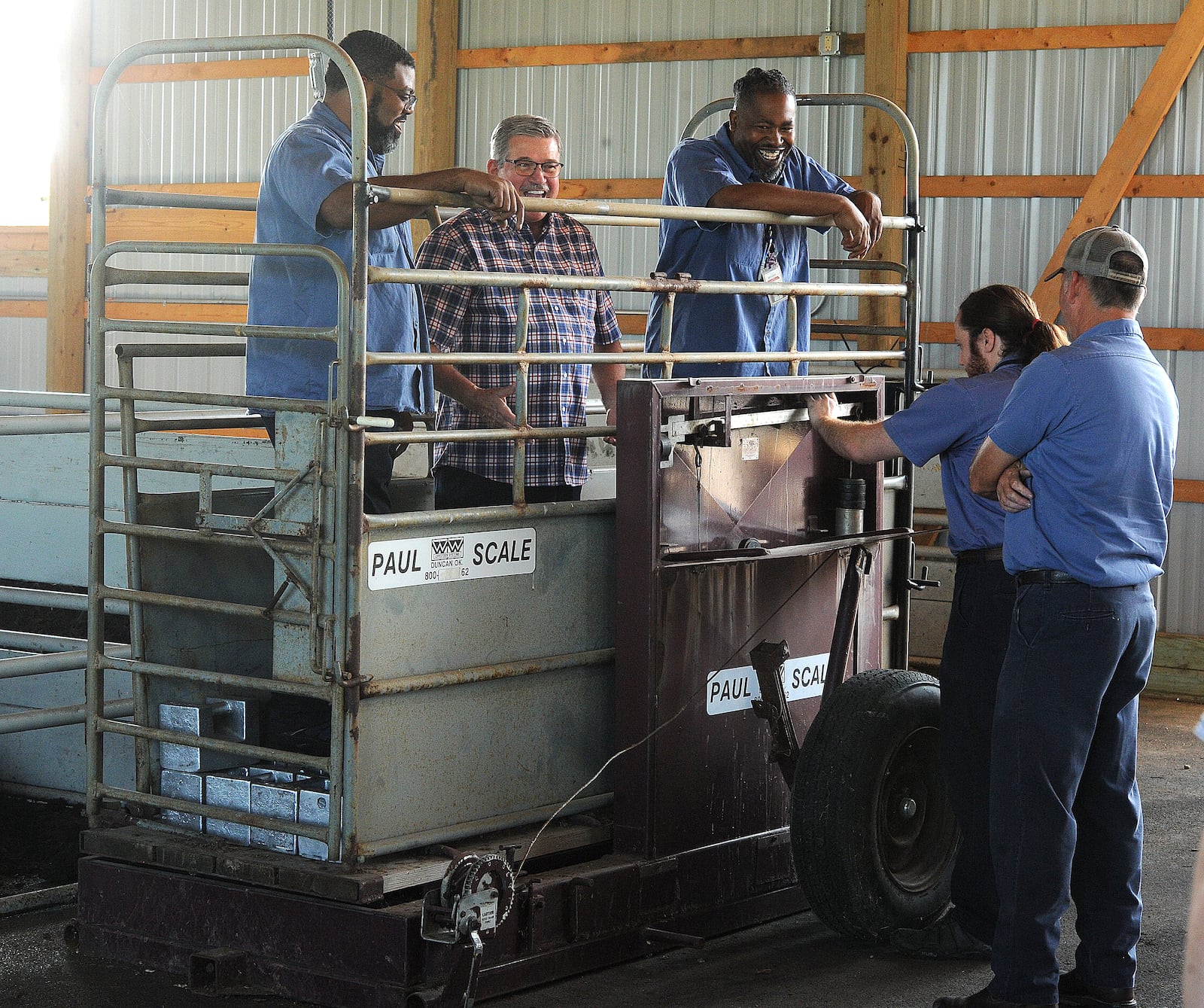 Montgomery County Auditor Karl Keith, center, with two of his staff Brandon Ladson, left and Joseph Harris stand on the cattle scale to add weight so that it can be calibrated. The Auditor's office checks all six scales before the start of the fair each year.  MARSHALL GORBY\STAFF 