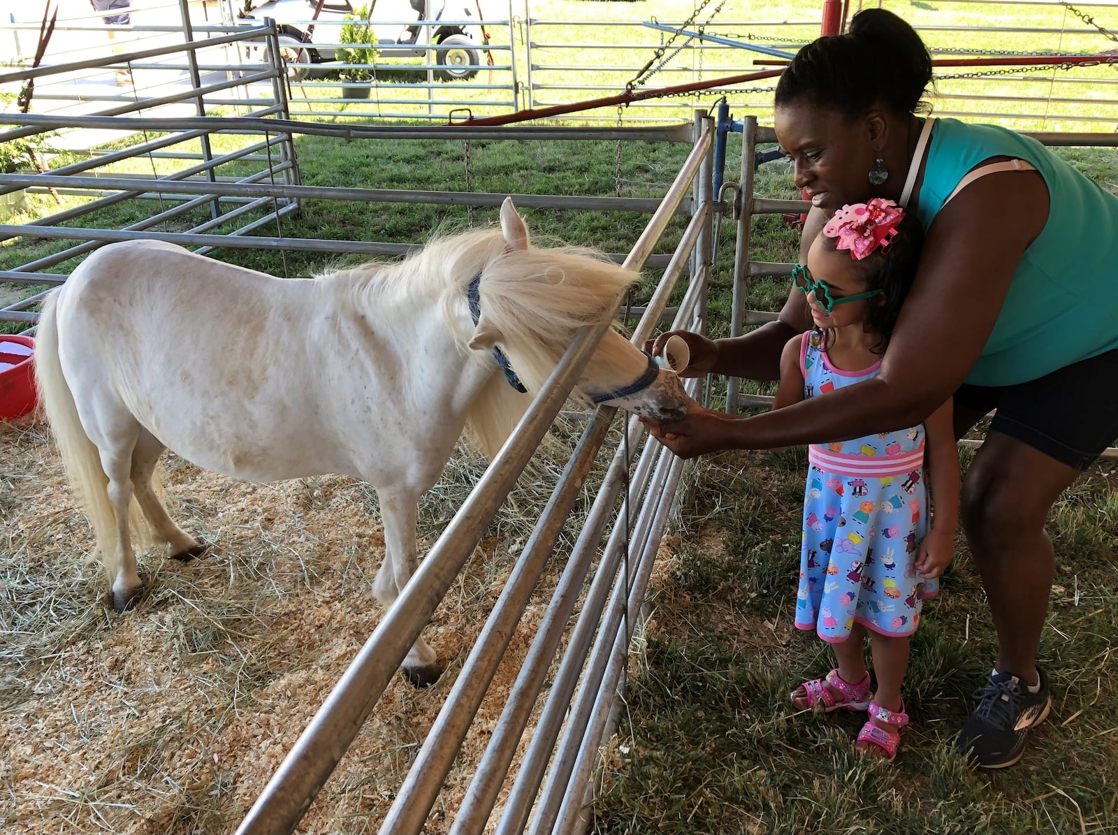 Shelbie Smith (right) of Centerville helps her granddaughter, Brynn Redman, 4, of Columbus feed a miniature horse at the petting zoo at the Montgomery County Fair on Sunday, July 10, 2022. Lynn Hulsey/STAFF