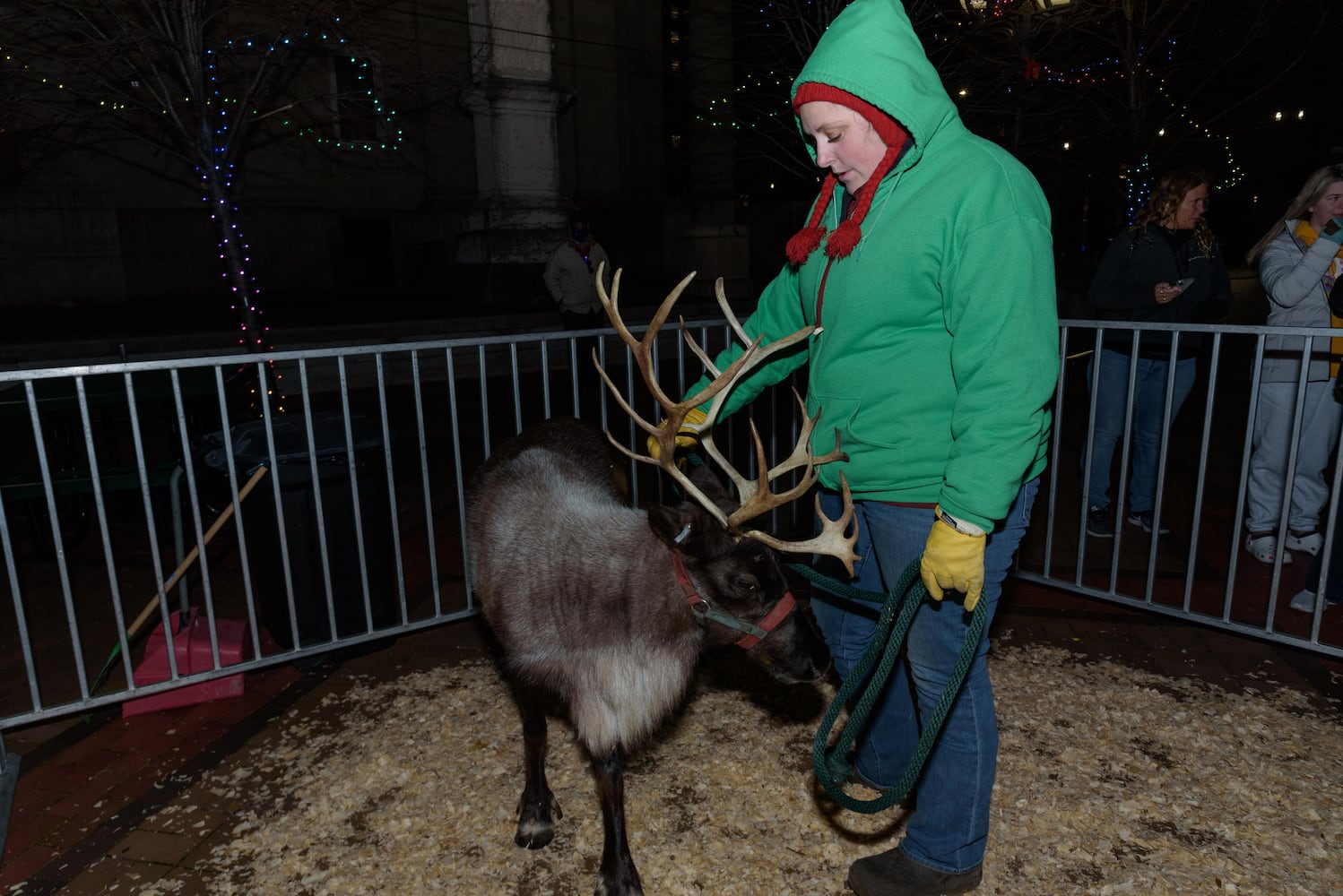 PHOTOS: Did we spot you at the Dayton Holiday Festival in downtown Dayton?