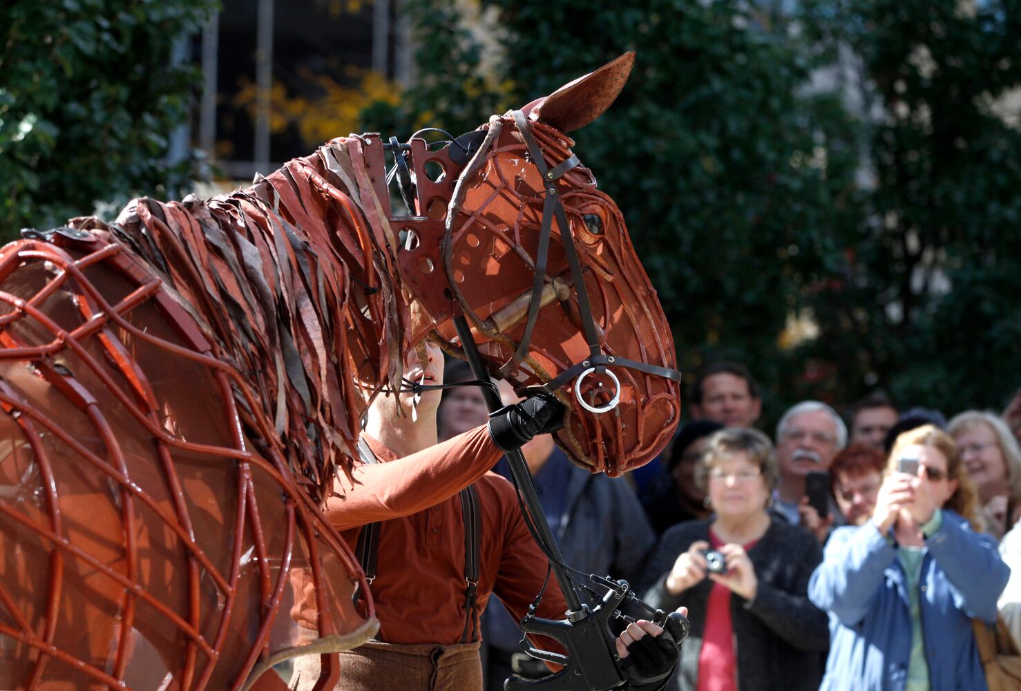 War Horse