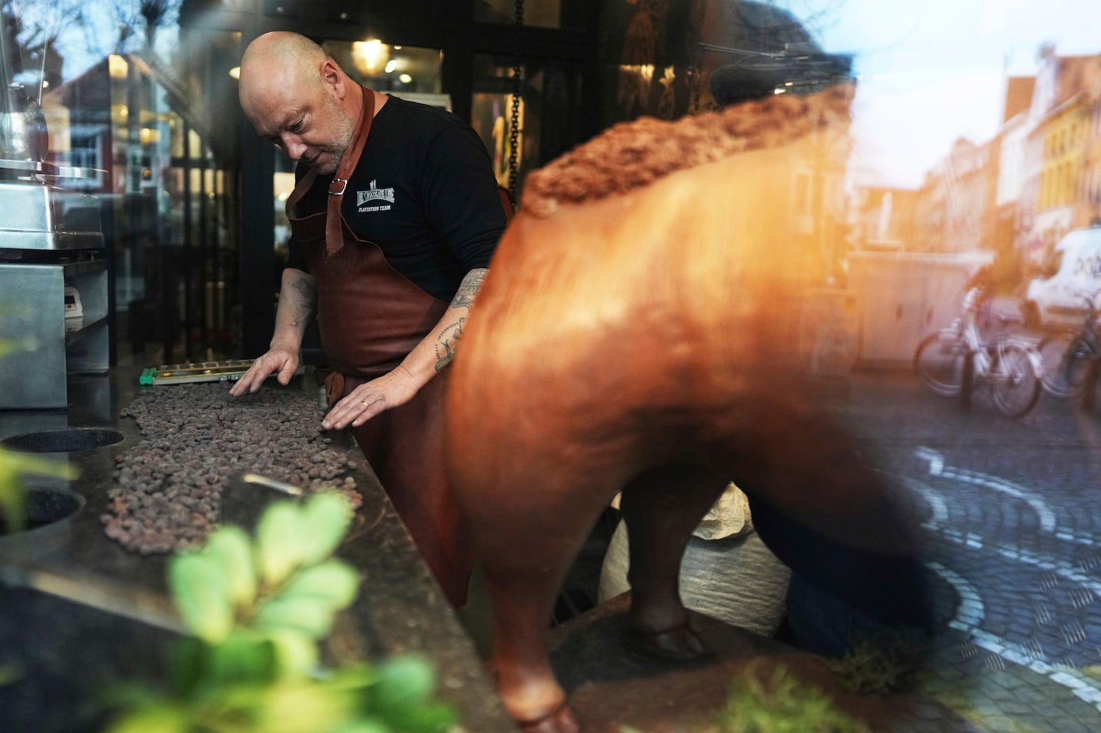 Artisan chocolatier Dominique Persoone sorts through cocoa beans in his workshop at The Chocolate Line, in Bruges, Belgium, Thursday, Feb. 6, 2025. (AP Photo/Virginia Mayo)