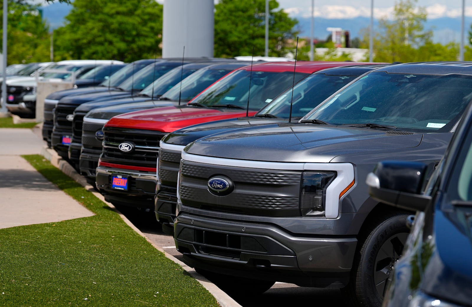 FILE - A line of unsold 2024 F150 and Lightning electric pickup trucks sit at a Ford dealership Sunday, May 19, 2024, in Denver. (AP Photo/David Zalubowski, File)