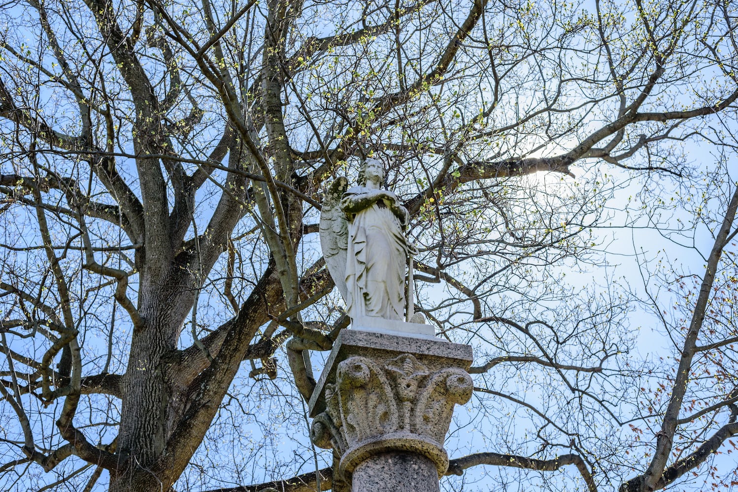 PHOTOS: Woodland Historic Tour at Woodland Cemetery & Arboretum