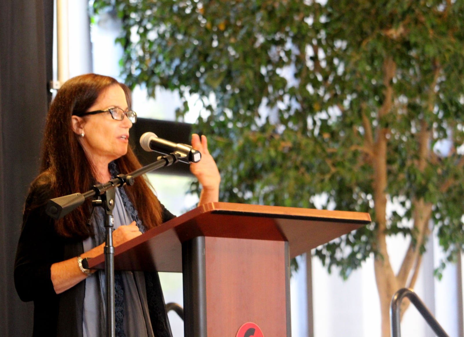 The 2017 Dayton Region's  Walk of Fame induction ceremony at Sinclair Community College. Dayton native Cathy Guisewite (foreground)  was a 2017 inductee.  Photo by Amelia Robinson