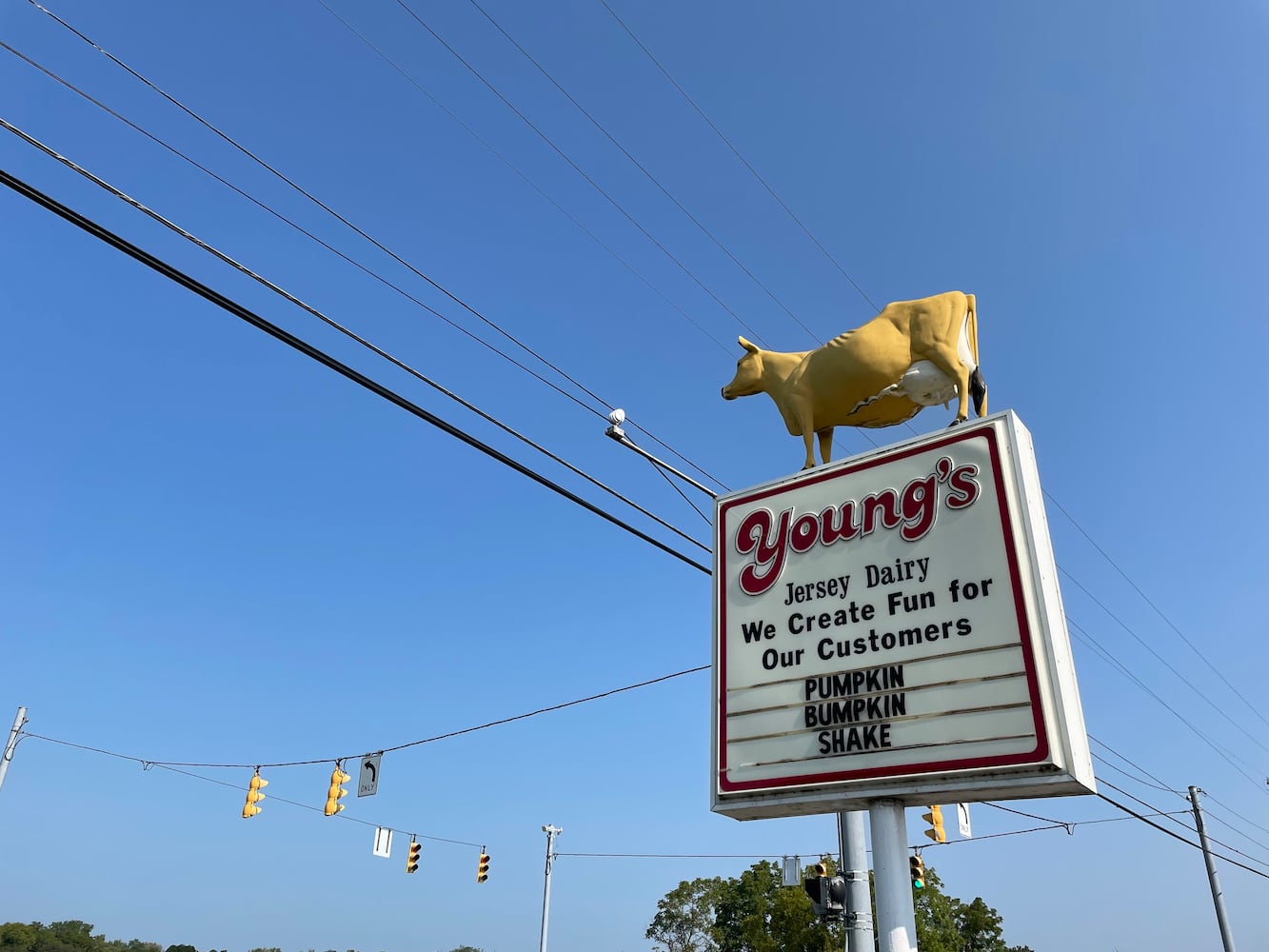 Young’s Jersey Dairy