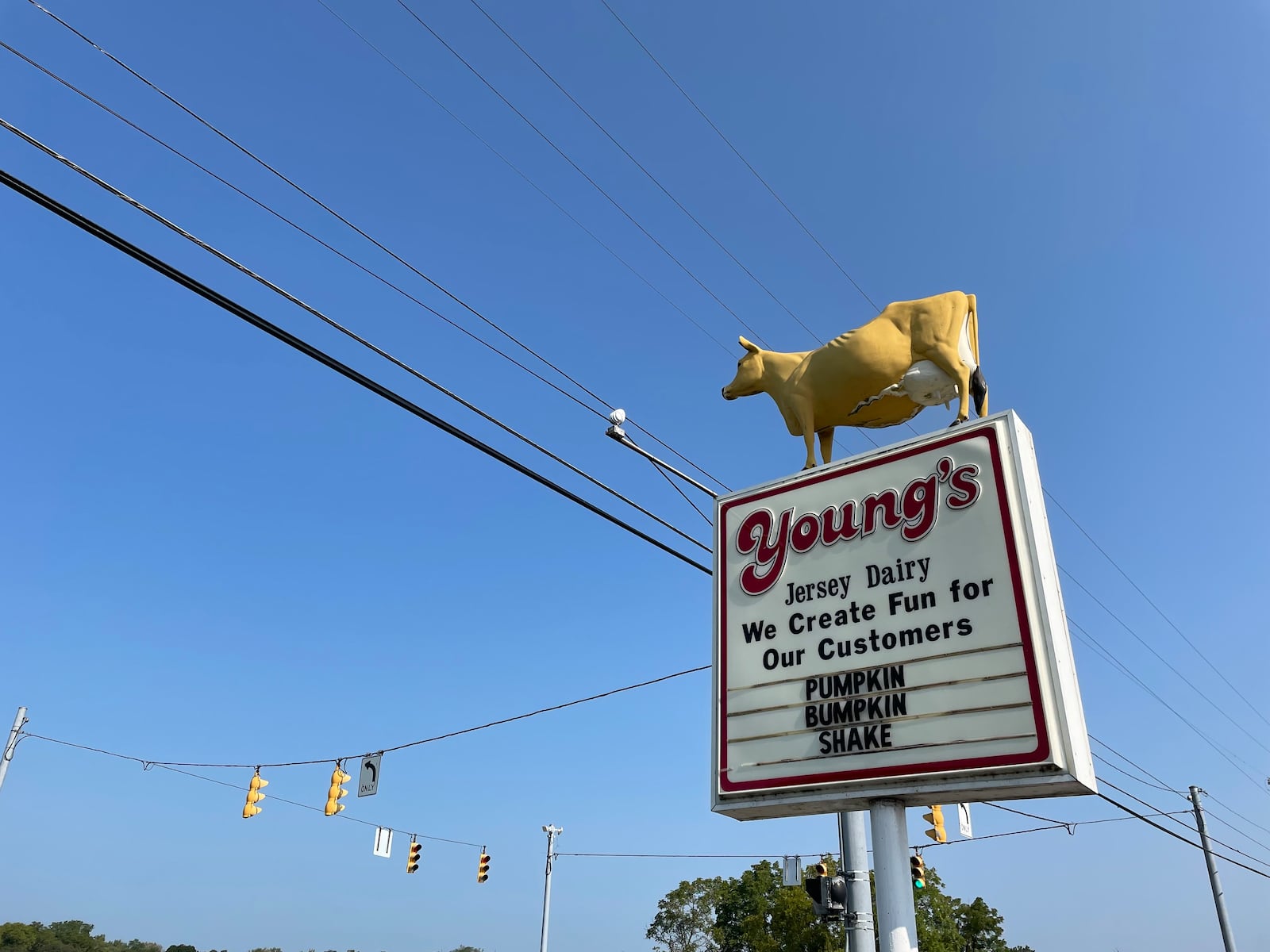 Young’s Jersey Dairy in Yellow Springs