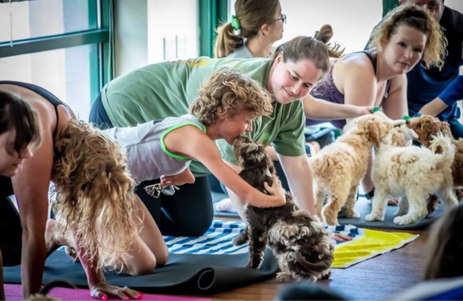 Puppy yoga combines fun, fitness and furry friends. CONTRIBUTED