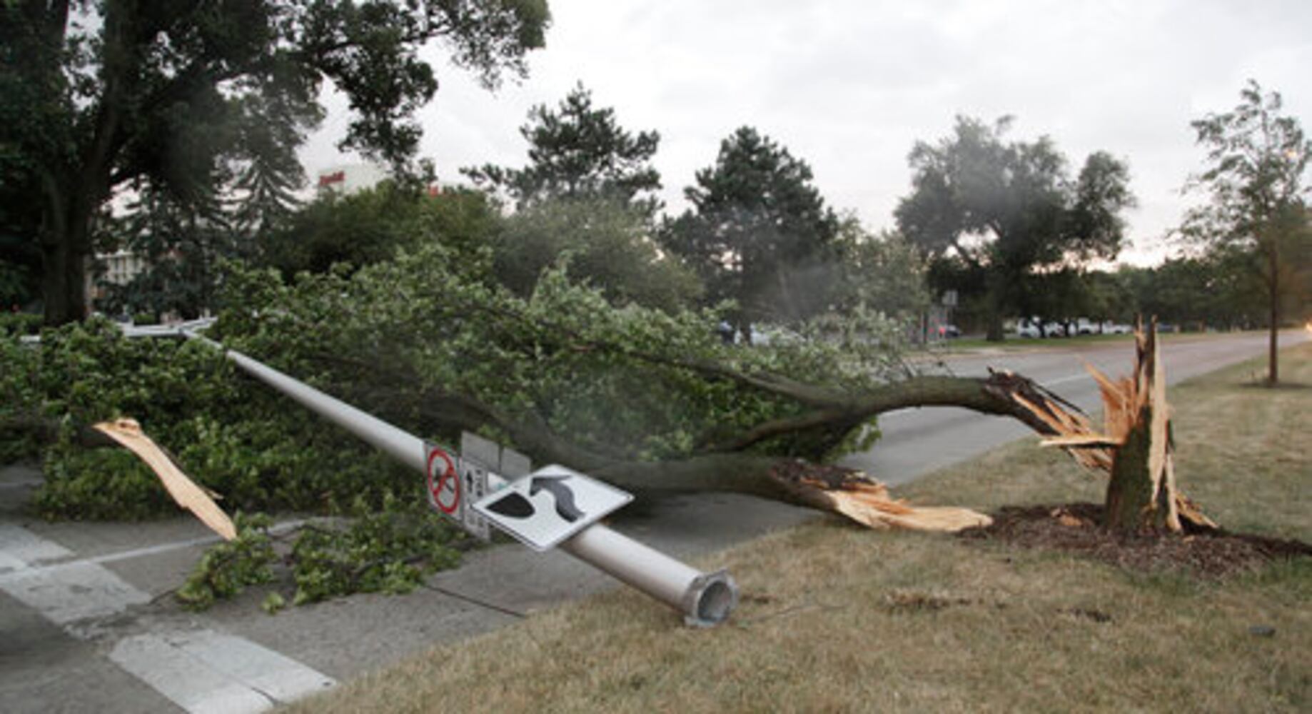 Storm damage