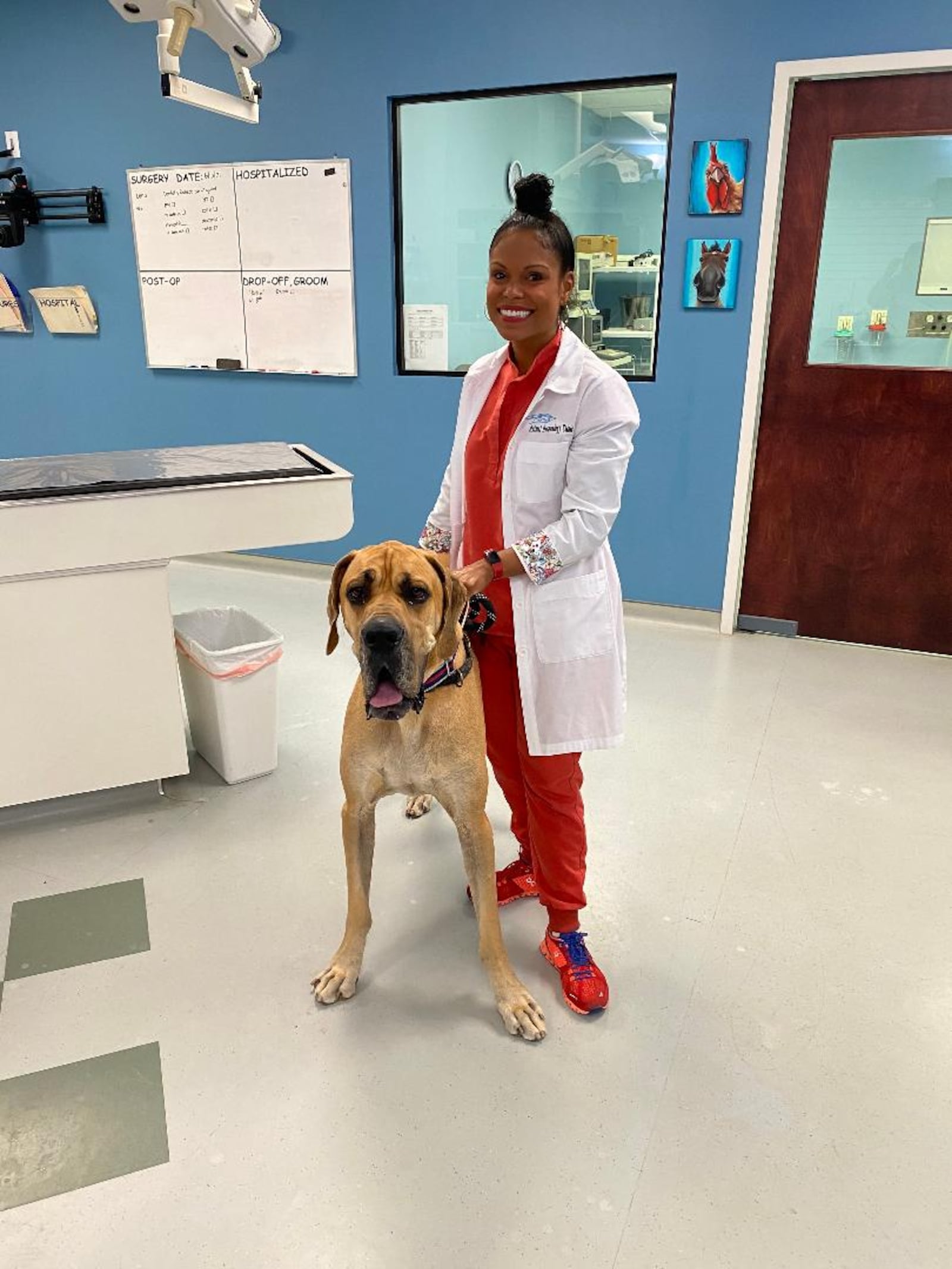 Dr. Joya Griffin is the star of the National Geographic WILD series “Pop Goes the Vet with Dr. Joya." PHOTO COURTESY OF DR. JOYA GRIFFIN