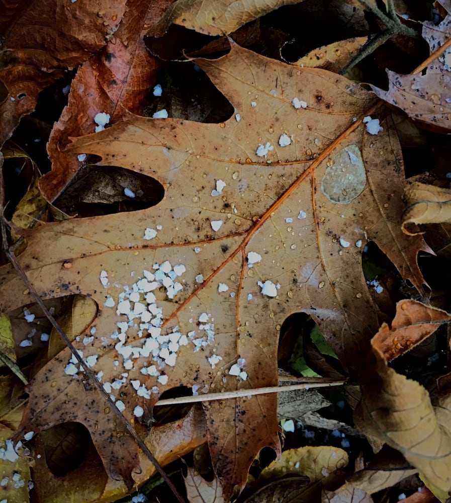 PHOTOS: First snow of the season