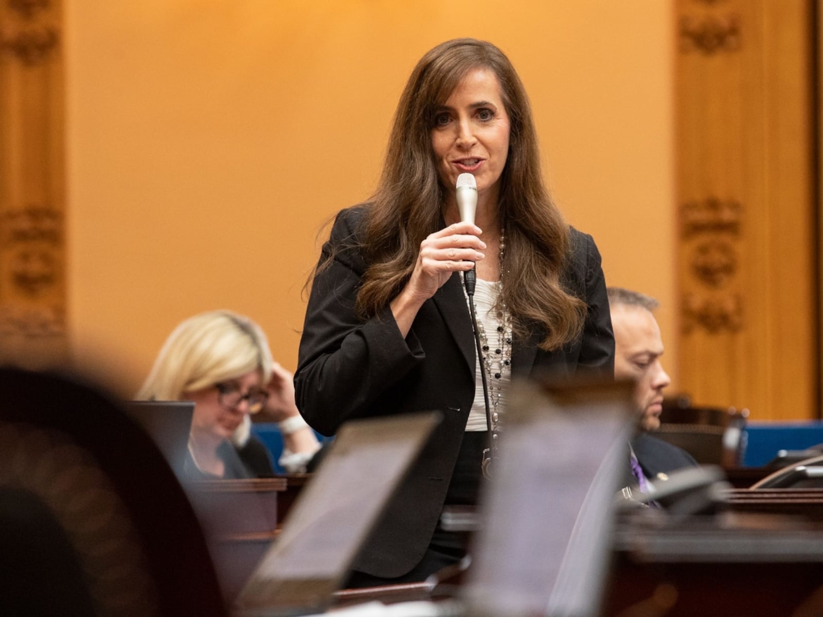 Sen. Theresa Gavarone, R-Bowling Green, at the Statehouse. PROVIDED