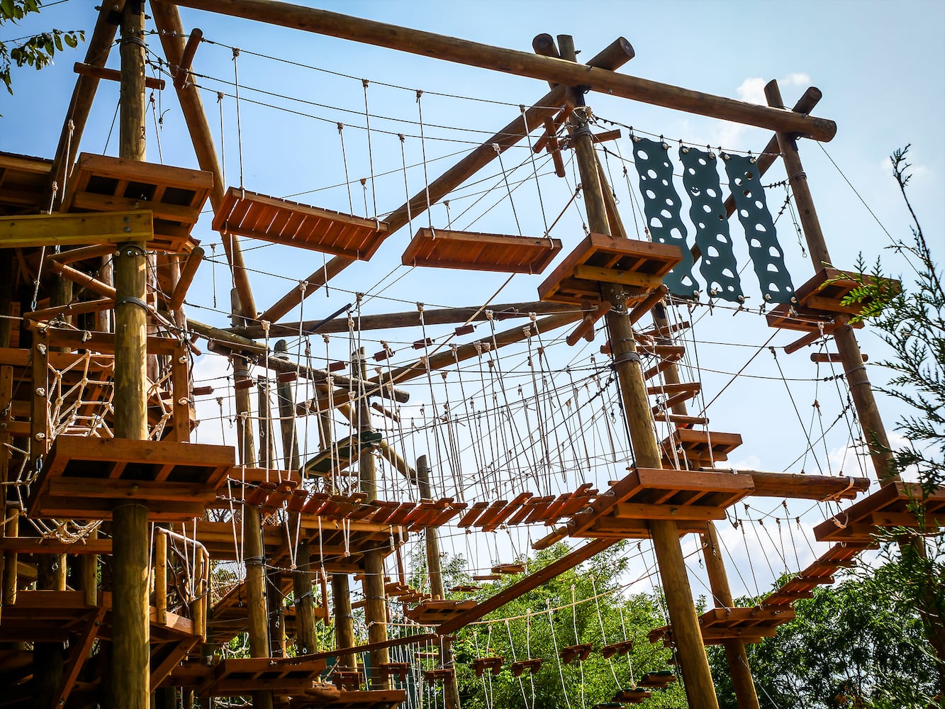 PHOTOS: Cincinnati Zoo’s new aerial adventure course will test your climbing skills