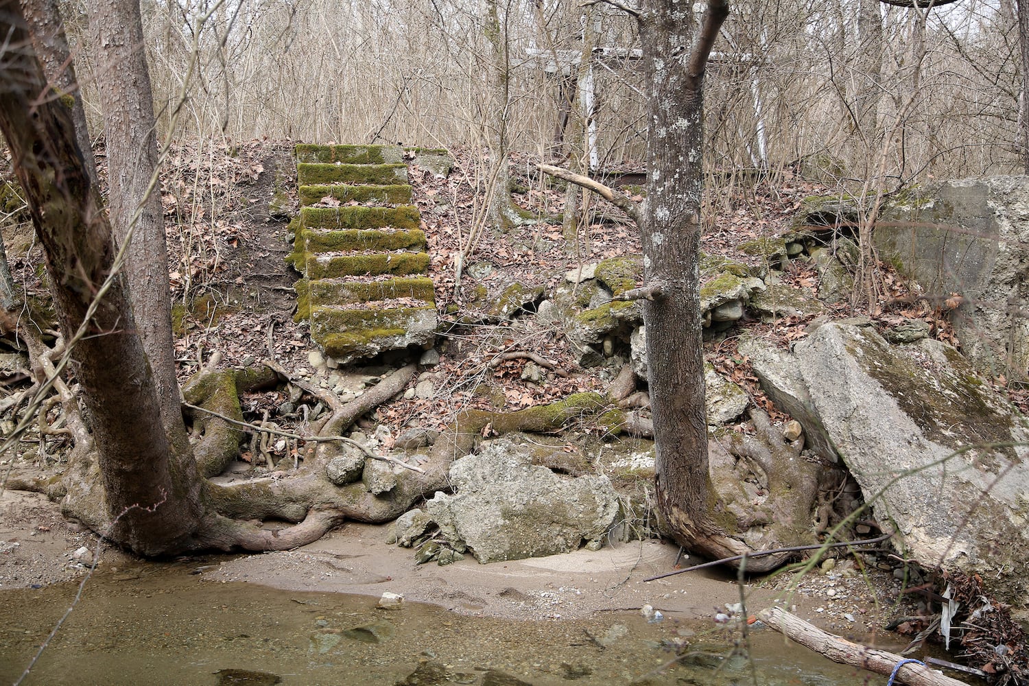 PHOTOS: Long-abandoned amusement park lives on in Possum Creek MetroPark