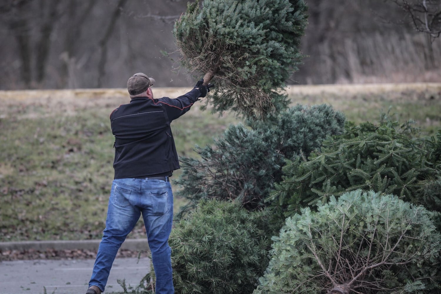 PHOTOS: Locals drop off Christmas trees to help Dayton MetroParks