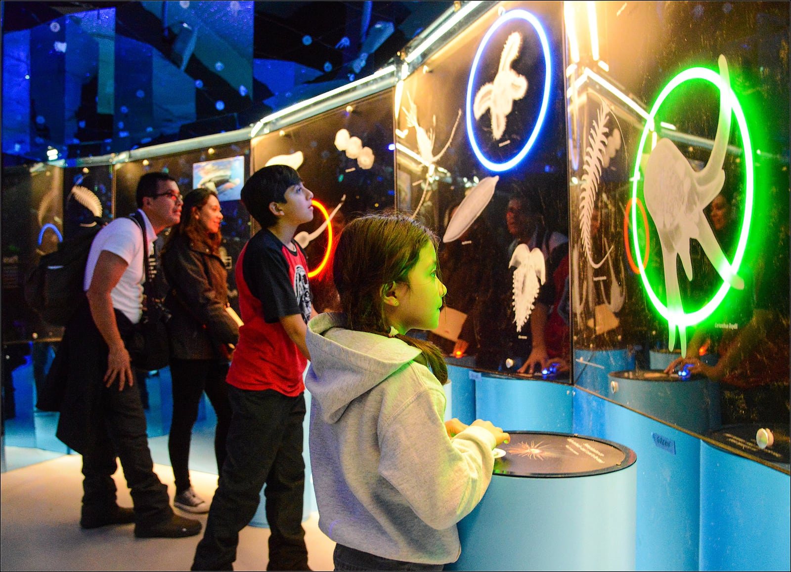 Visitors to "Unseen Oceans" try to match adults from a variety of marine species to their planktonic forms  in a âFind My Baby Pictureâ game.  Â©AMNH/R. Mickens