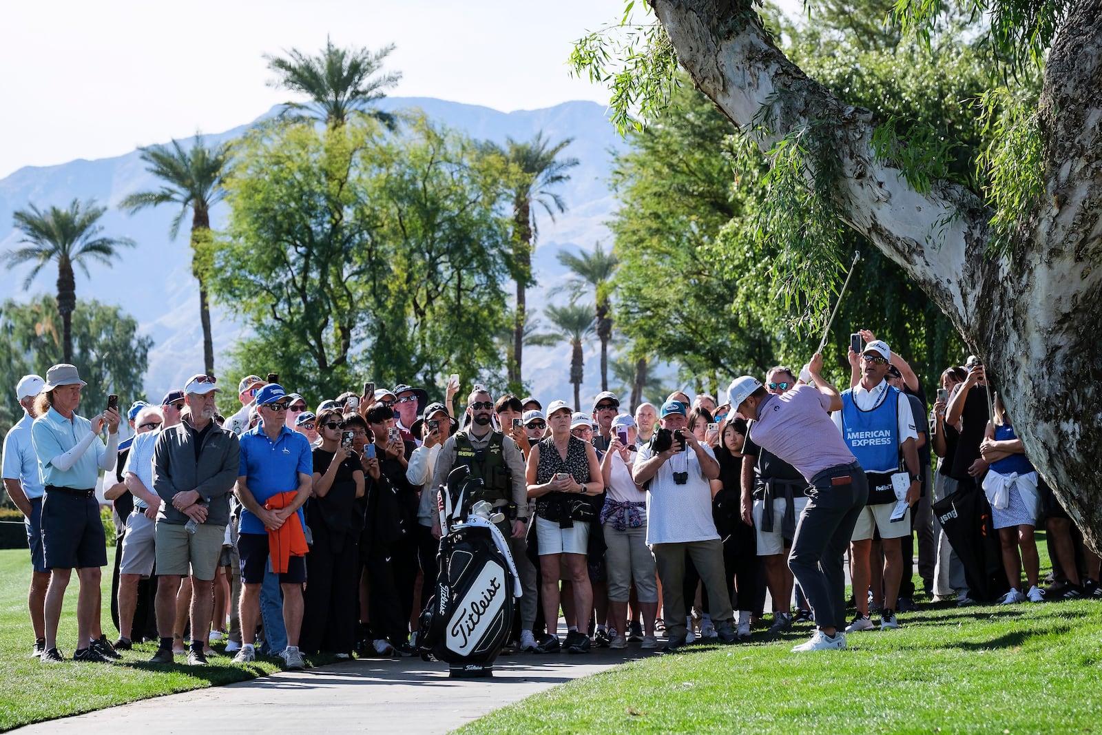 Fans watch as Justin Thomas hits to the fourth fairway at La Quinta Country Club Course during the first round of the American Express golf tournament in La Quinta, Calif., Thursday, Jan. 16, 2025. (AP Photo/William Liang)