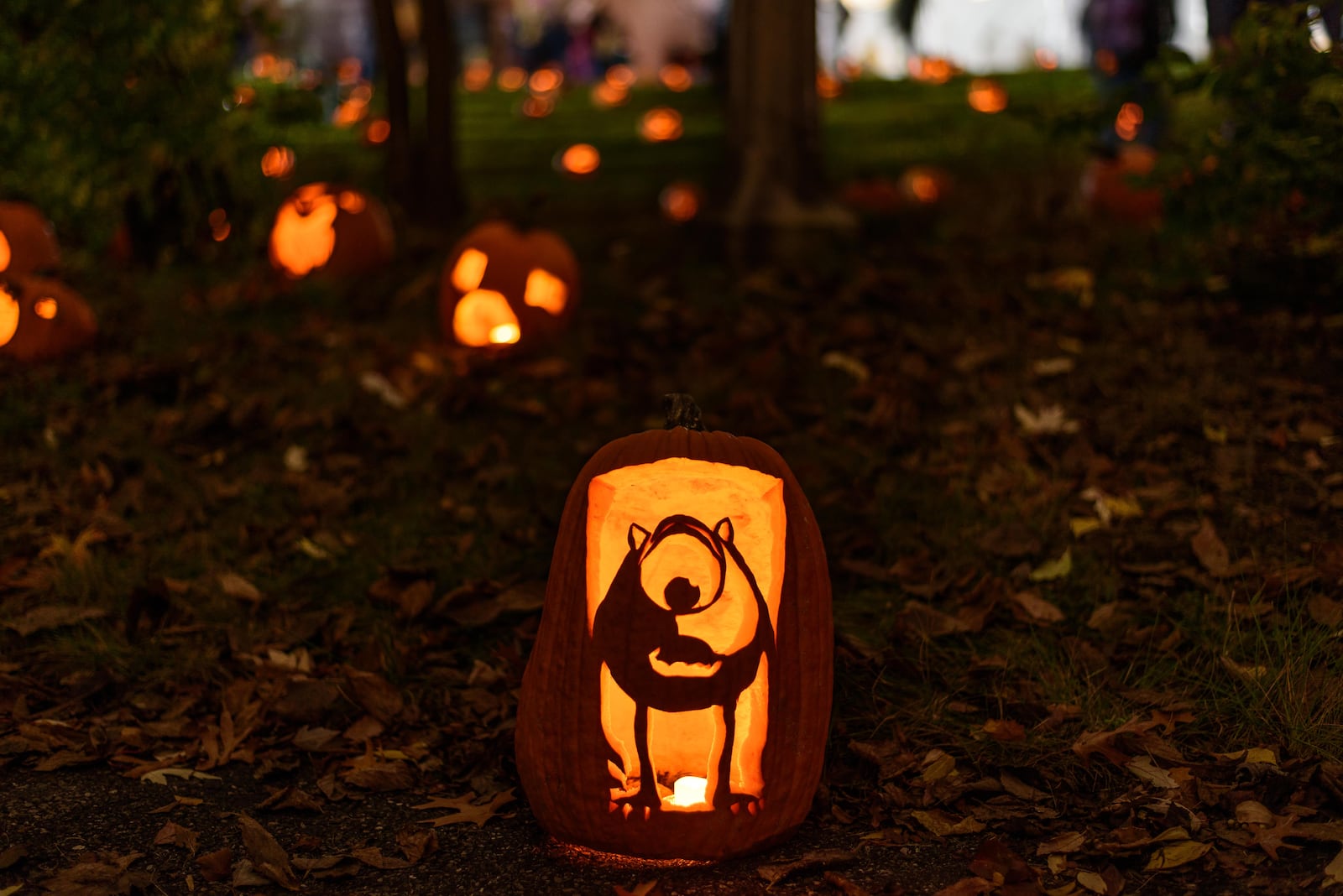 The Stoddard Avenue Pumpkin Glow was held on the hill behind Annunciation Greek Orthodox Church, located at 500 Belmonte Park North on Oct. 30 & 31, 2023. Close to 1,000 glowing pumpkins carved by volunteers illuminated on the hillside during the free community event hosted by the Grafton Hill Historic District. TOM GILLIAM / CONTRIBUTING PHOTOGRAPHER