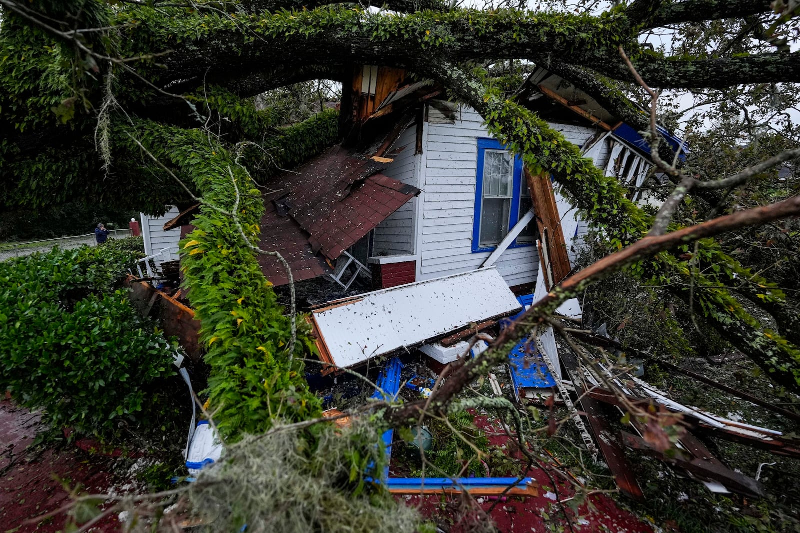 A damaged 100-year-old home is seen after an Oak tree landed on the home after Hurricane Helene moved through the area, Friday, Sept. 27, 2024, in Valdosta, Ga. (AP Photo/Mike Stewart)