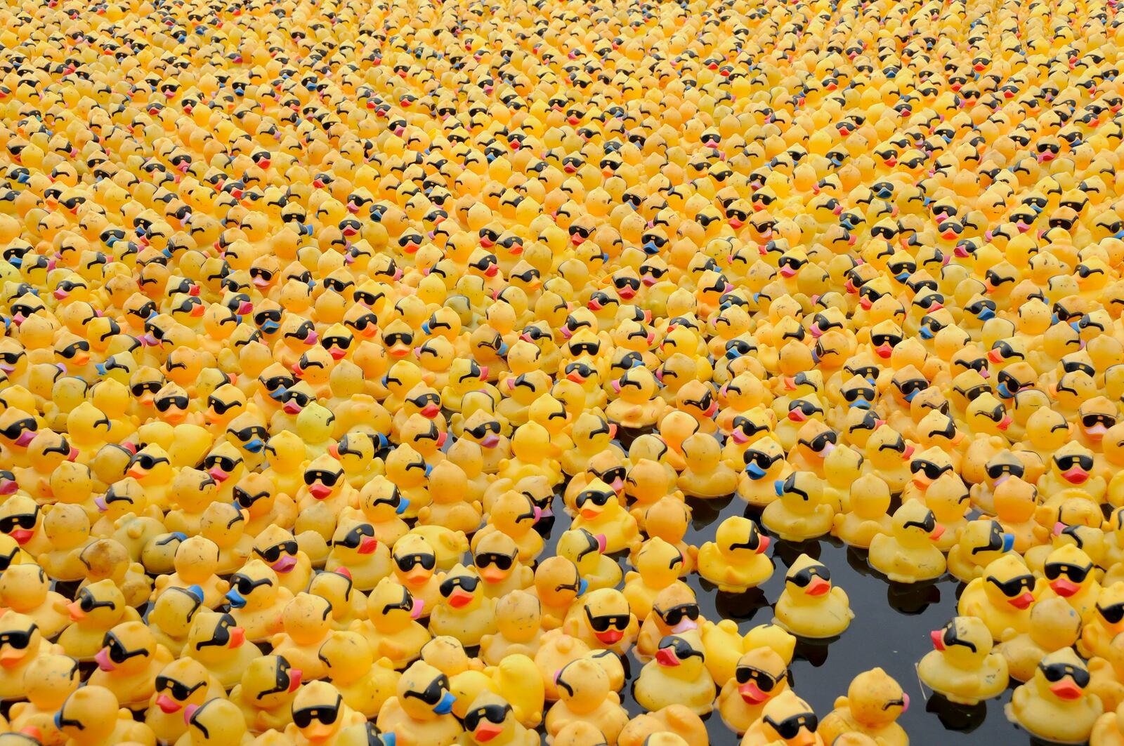 The 16th Annual Rubber Duck Regatta will be held in Dayton Saturday, Sept. 14. CONTRIBUTED PHOTO