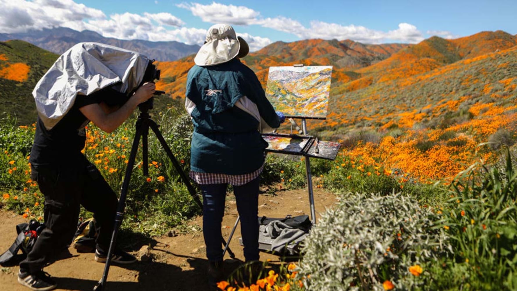 Photos: Spectacular wildflower super bloom in California