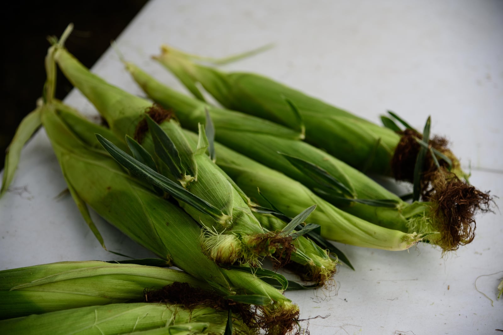 Sweet corn, fresh tomatoes, homemade jams and more can be found at area farmers markets.