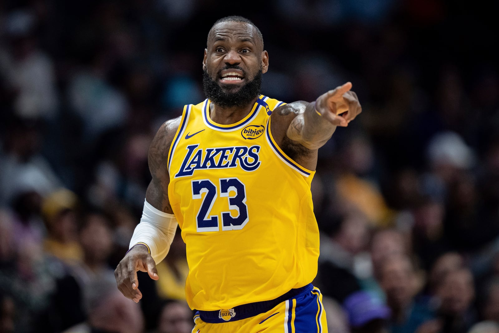 Los Angeles Lakers forward LeBron James directs a play during the first half of an NBA basketball game against the Charlotte Hornets, Monday, Jan. 27, 2025, in Charlotte, N.C. (AP Photo/Jacob Kupferman)