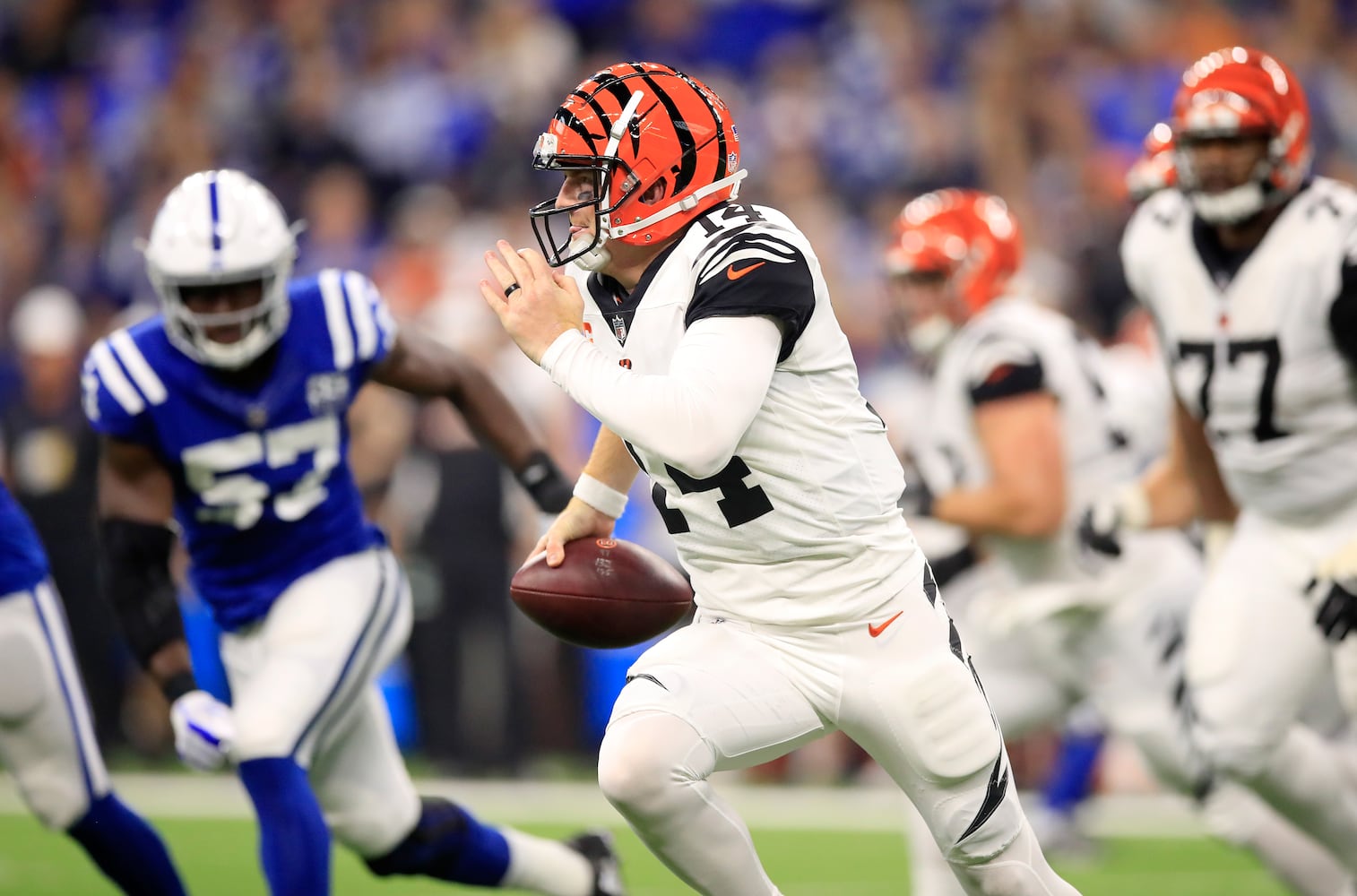 PHOTOS: Cincinnati Bengals vs. Indianapolis Colts