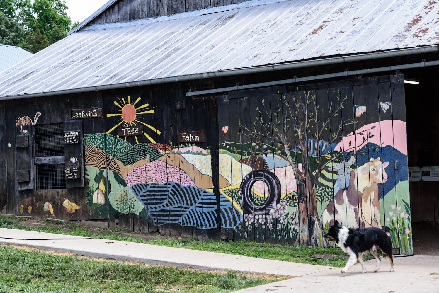 PHOTOS: Wooly Wonders - Spring on the Farm Family Event at Learning Tree Farm