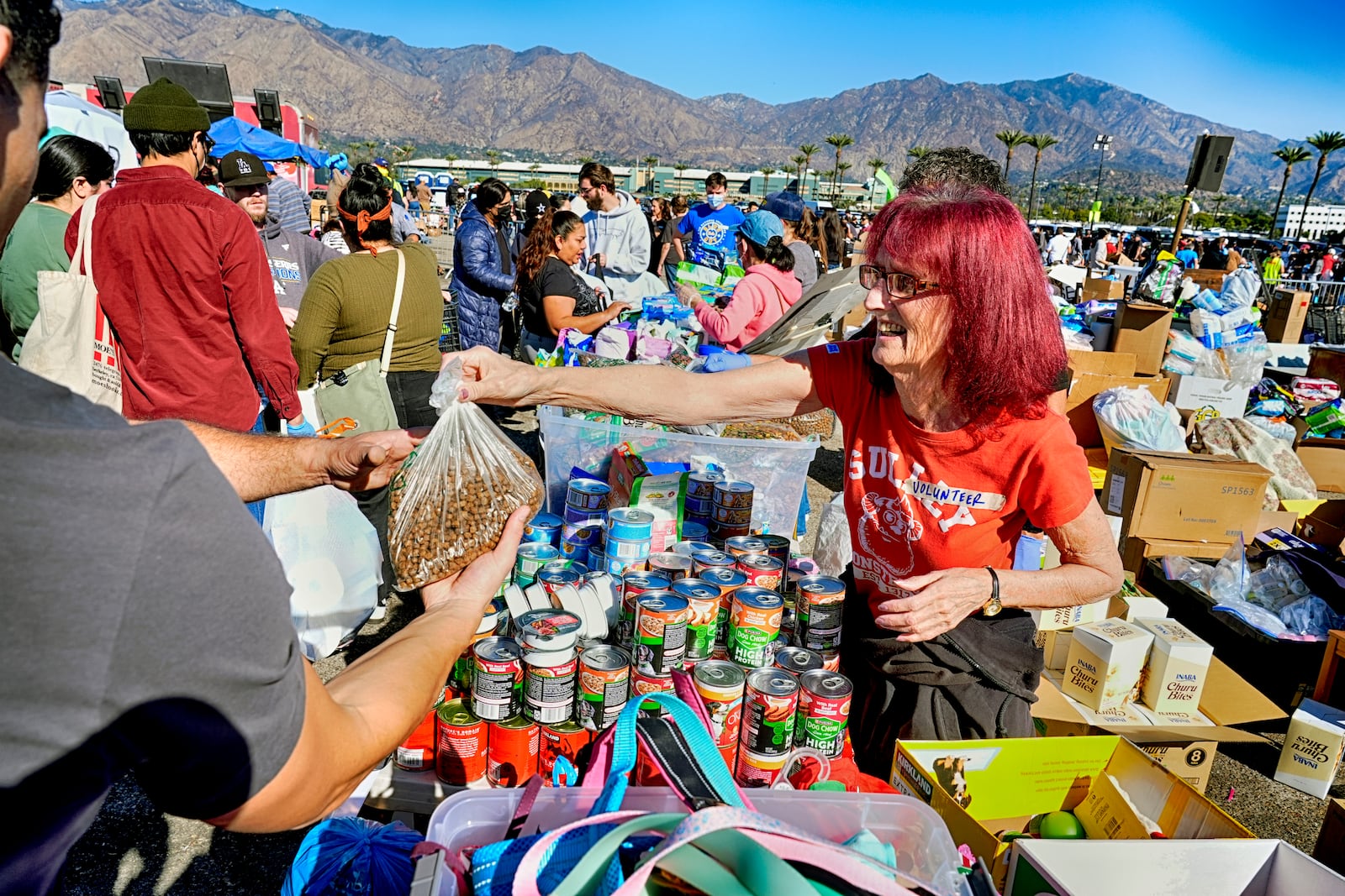 Volunteer Patty Matwey offers pet food to a fire victim at a donation center at Santa Anita Park in Arcadia, Calif. on Wednesday, Jan. 15, 2025. (AP Photo/Richard Vogel)