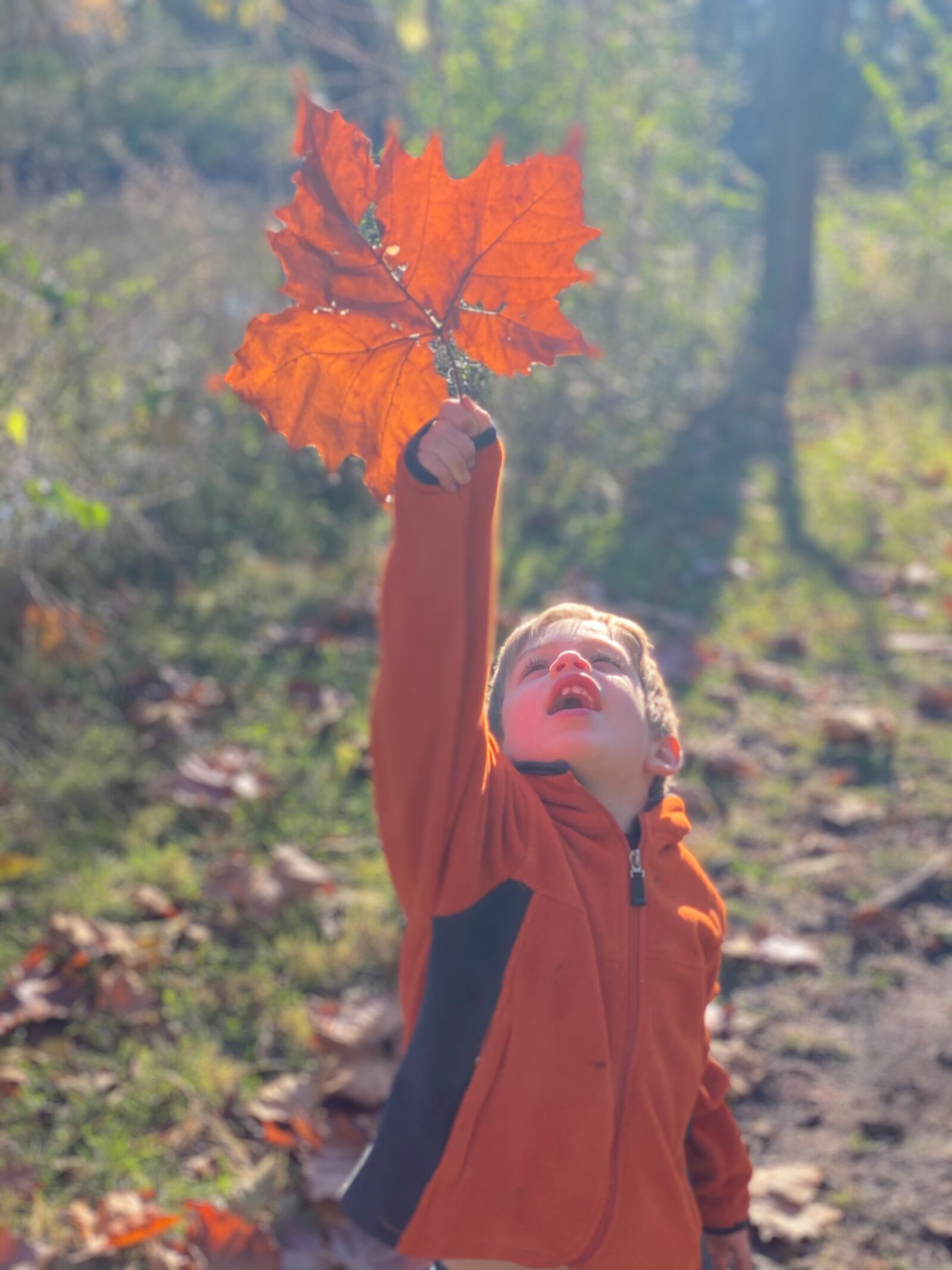 Family fun is always in season at Eastwood MetroPark, one of the outdoor gems MetroParks staff members are grateful for. CONTRIBUTED