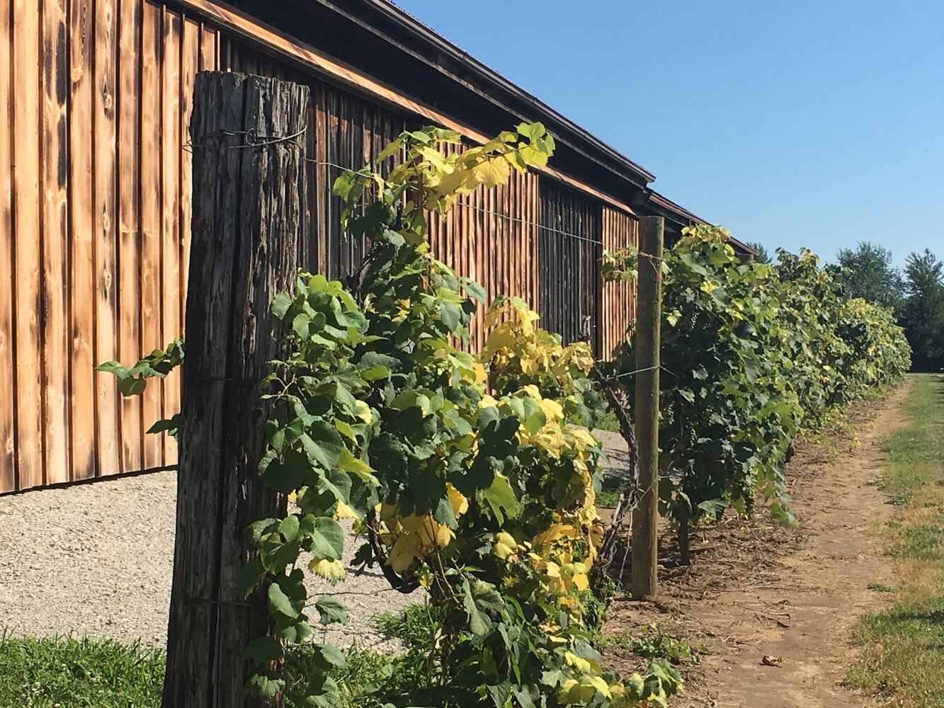 Hidden Valley Orchards