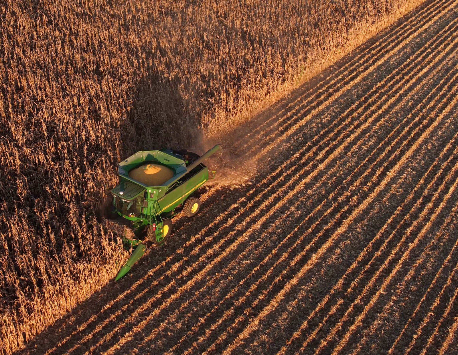 Farmer Mike Curry harvests corn as the sun sets over Clinton County. EPA rules packages geared toward eliminating internal combustion engines should drive consumers mad. It also puts Ohio’s grain industry in jeopardy. TY GREENLEES / STAFF