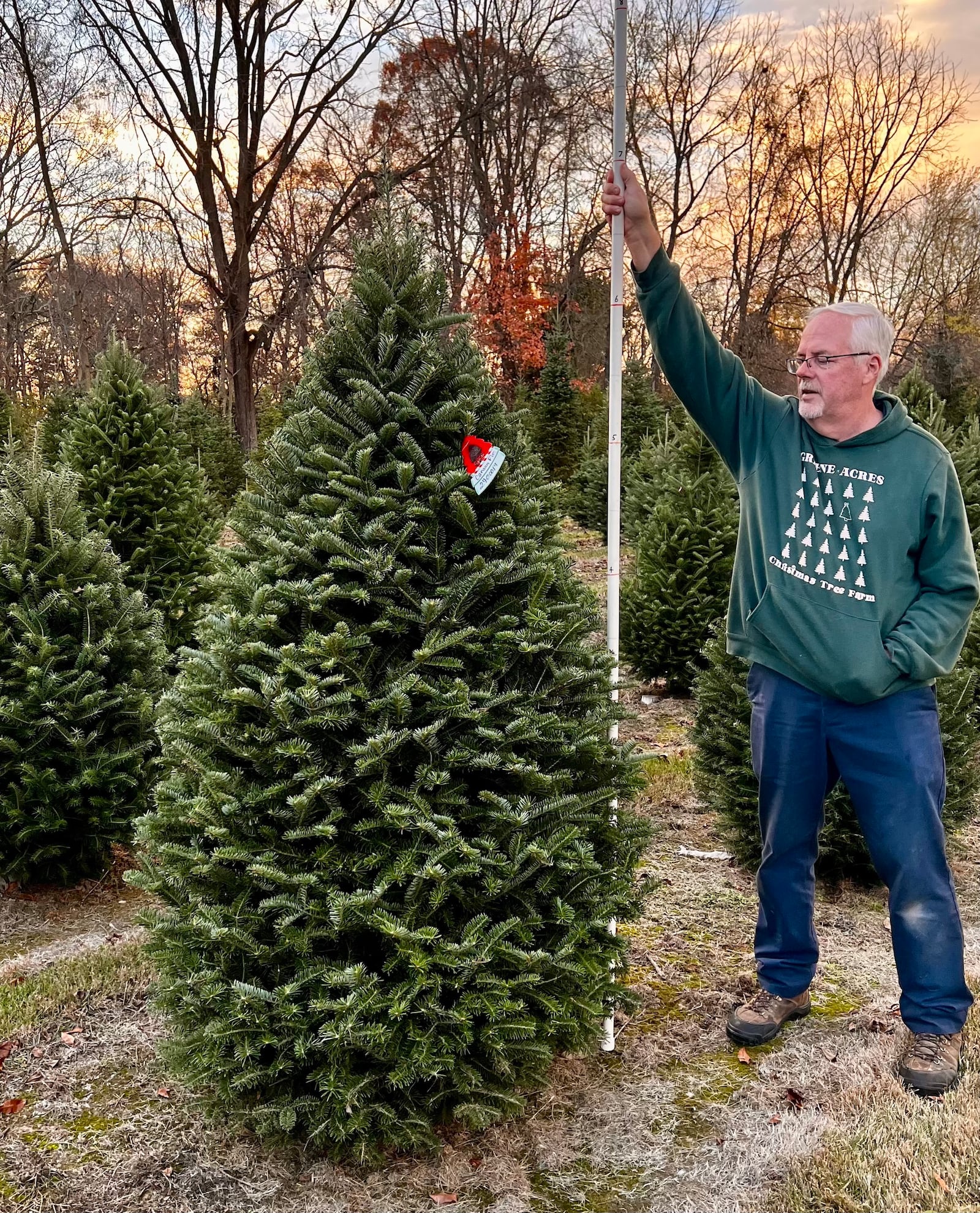 Greene Acres Tree Farm in Medway offers cut-your-own and pre-cut trees. CONTRIBUTED