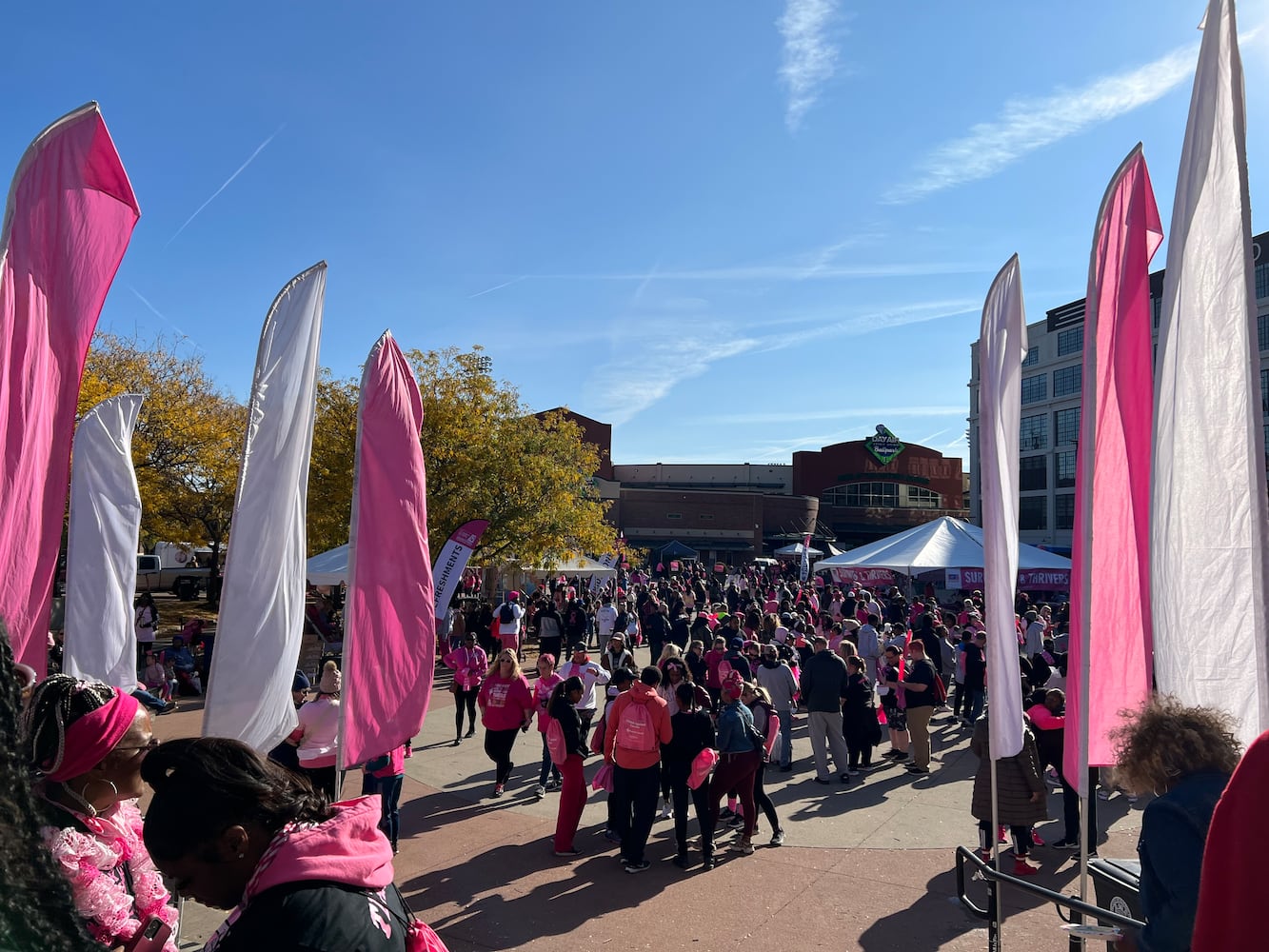 Making Strides Dayton