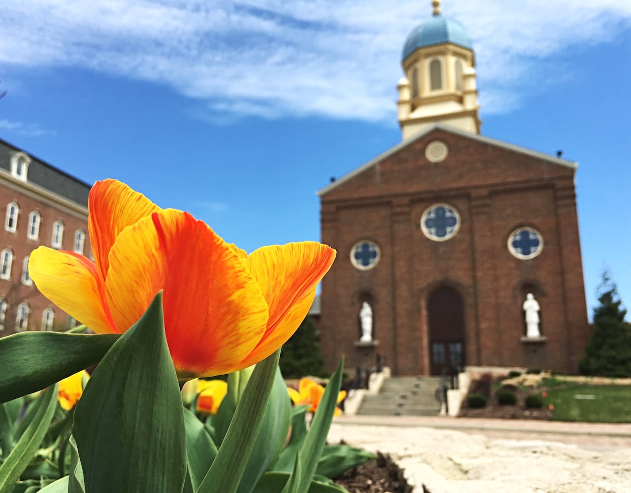 PHOTOS: Spring in the time of social distancing