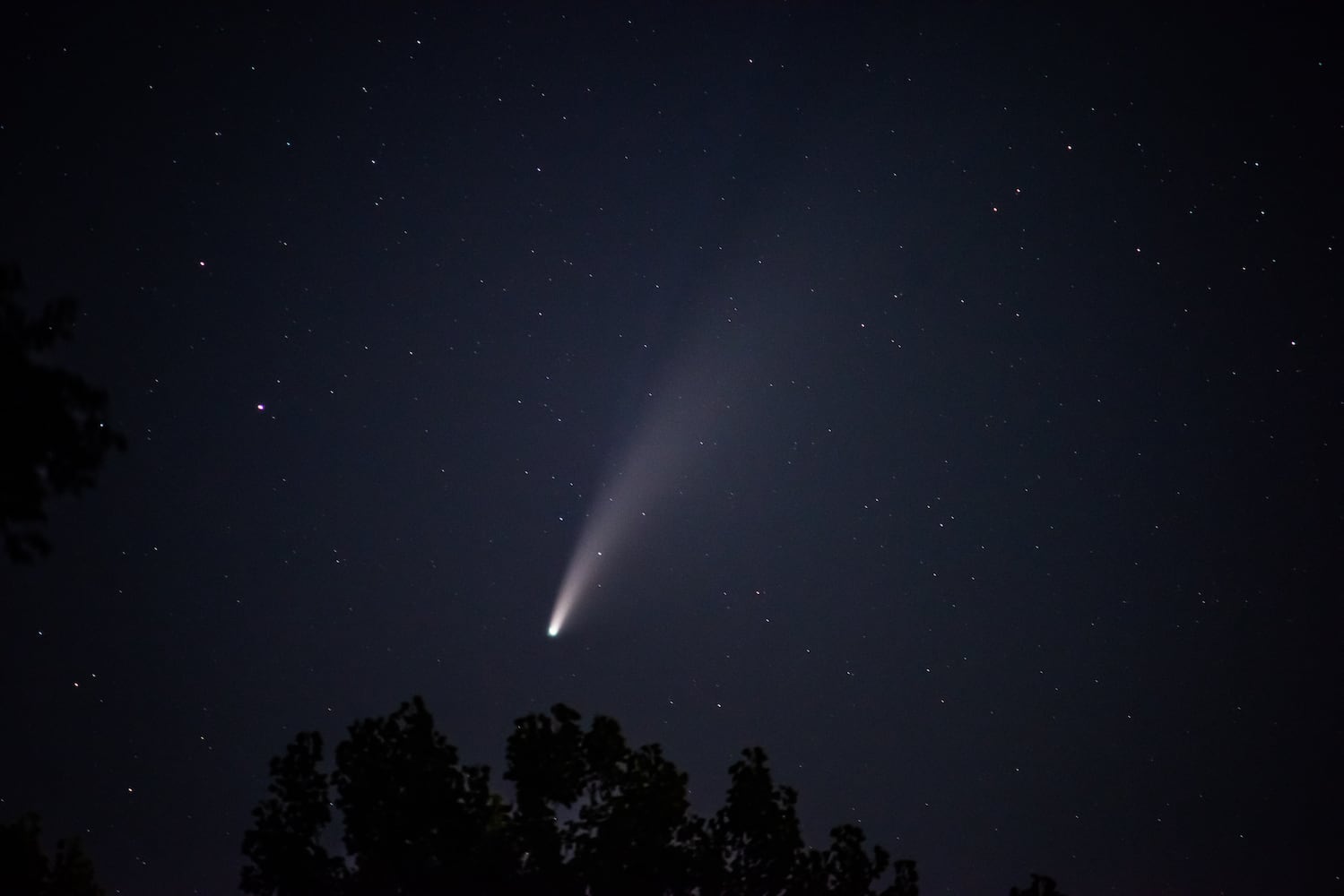 NEOWISE comet visible in the night sky